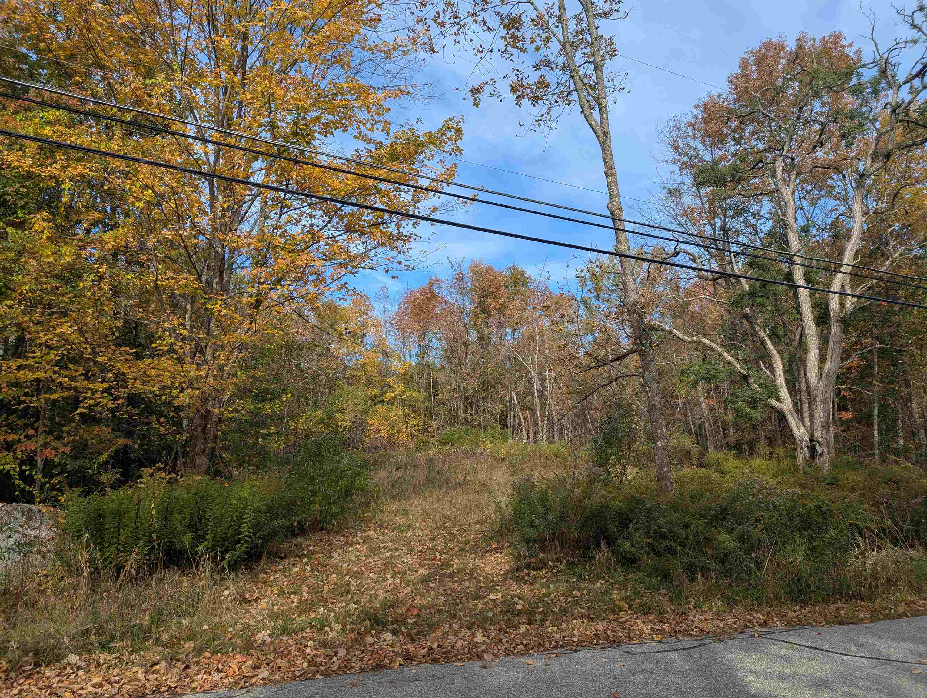 113 Jones Road Effingham, NH 03882 - Photo 6 of 8 Gallery Image 6