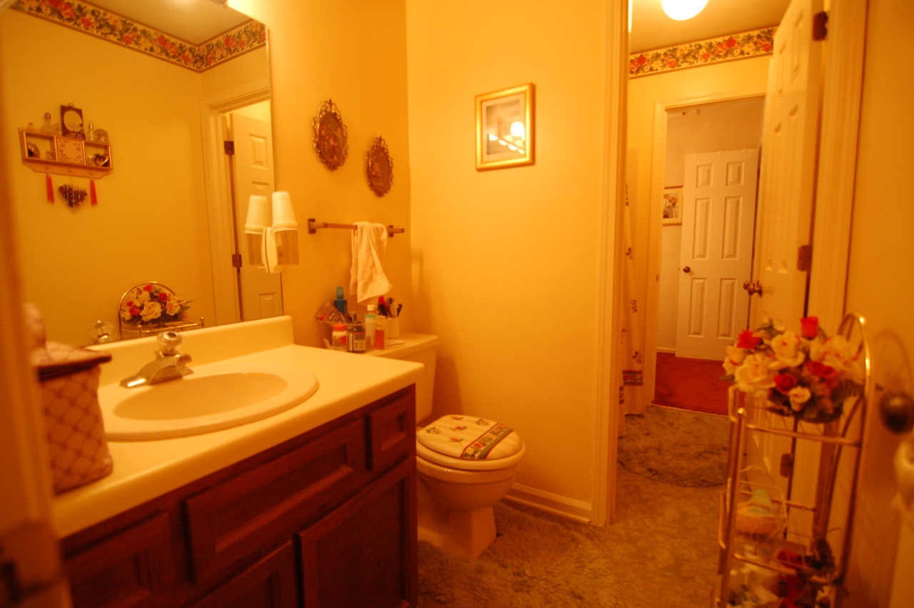 3412 Morning Dove Road Roanoke, VA 24018 - Photo 17 of 26 DSC_0779