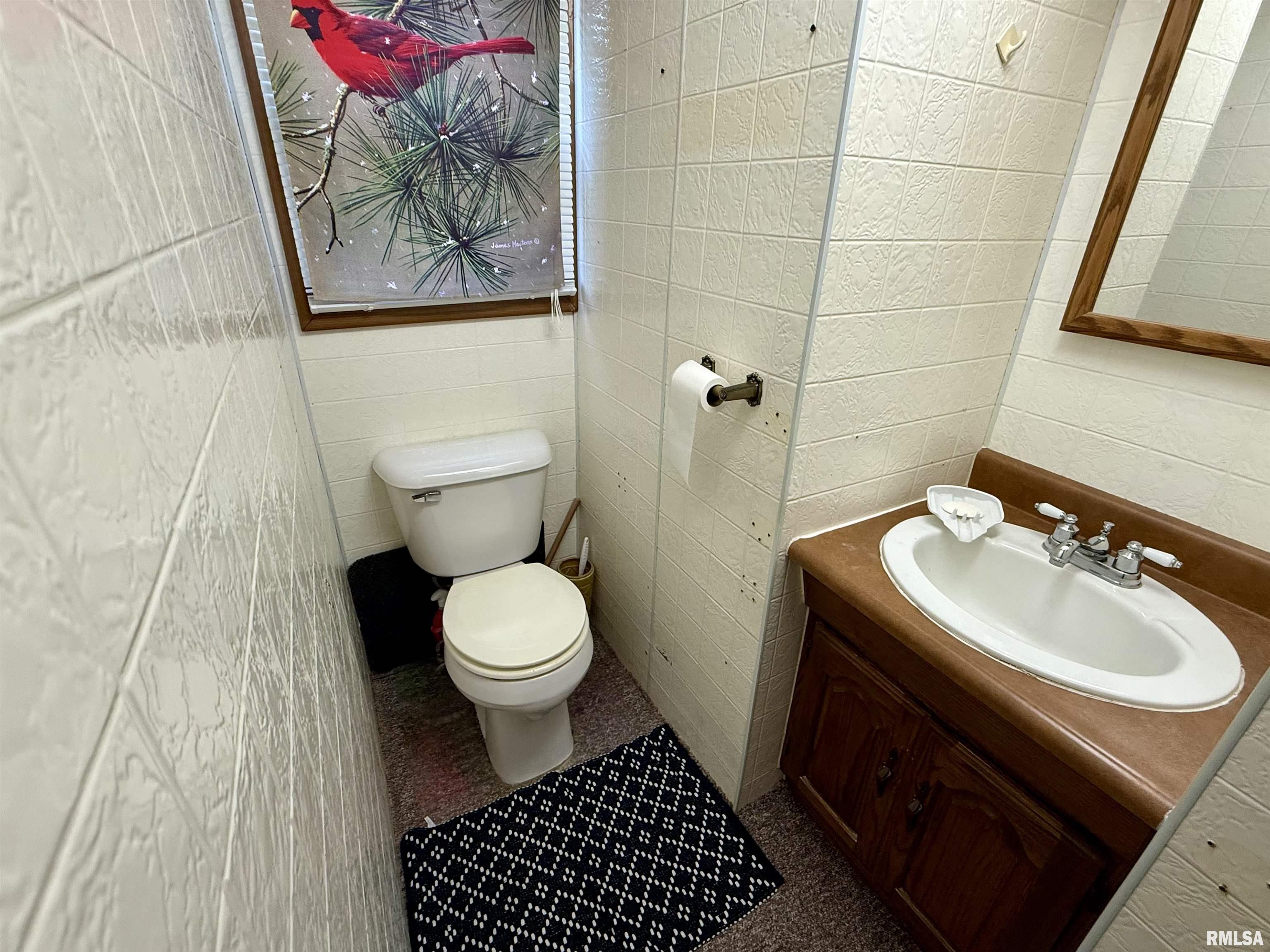 107 Picard Street Alpha, IL 61413 - Photo 12 of 51