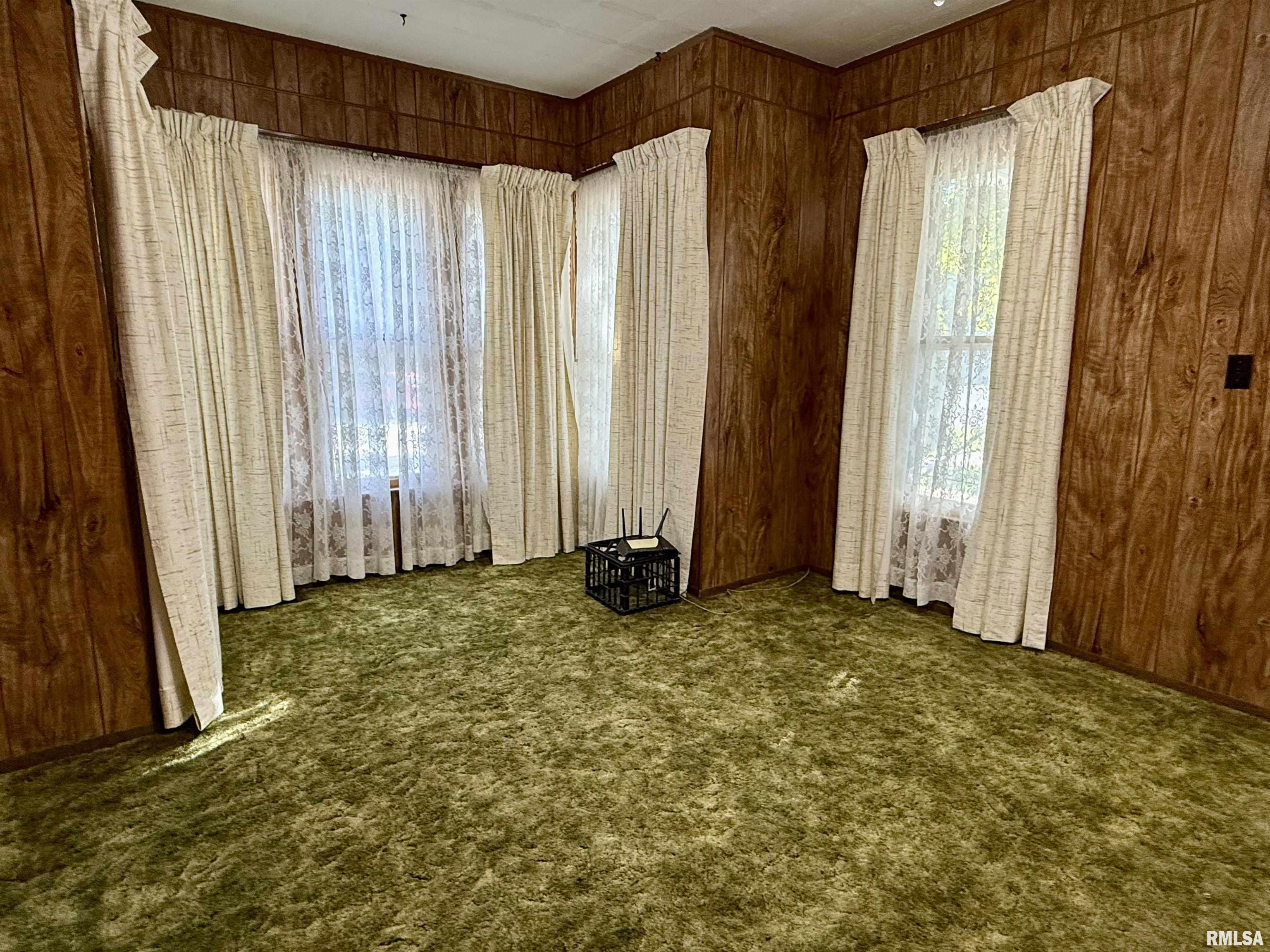 107 Picard Street Alpha, IL 61413 - Photo 15 of 51