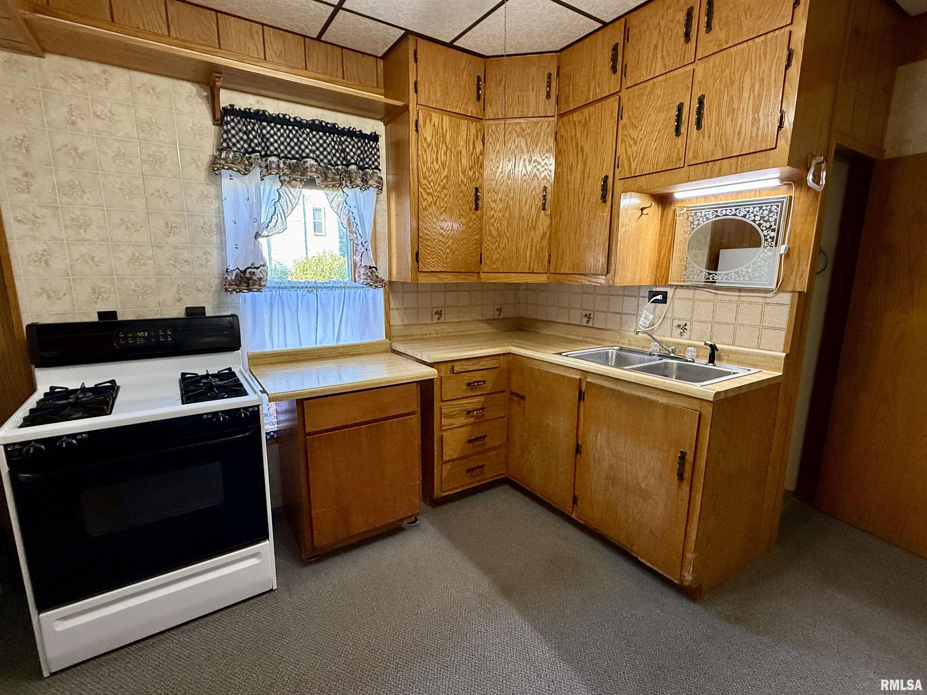 107 Picard Street Alpha, IL 61413 - Photo 7 of 51