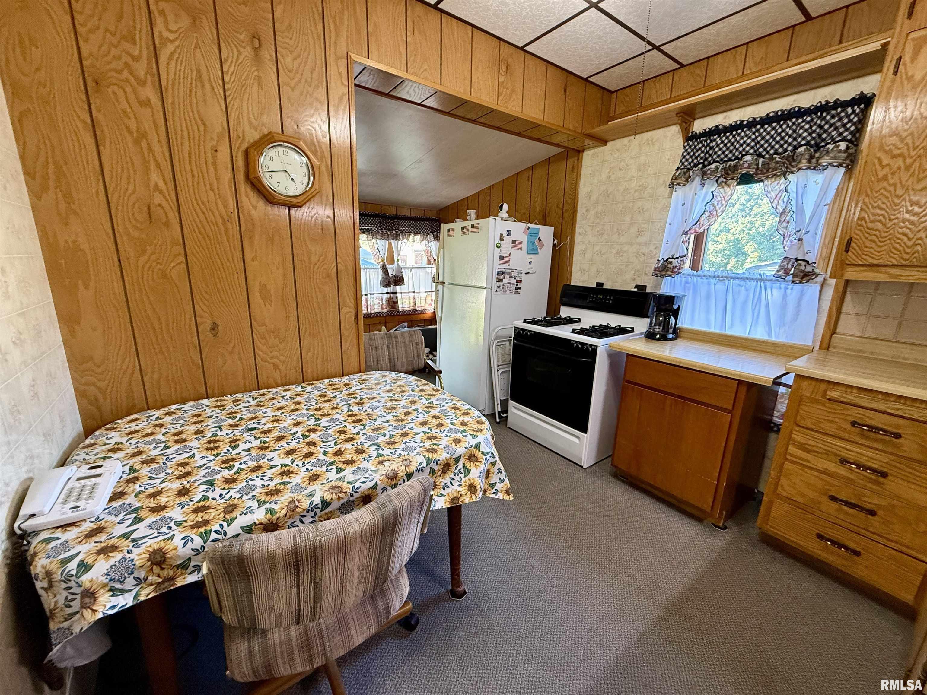 107 Picard Street Alpha, IL 61413 - Photo 8 of 51