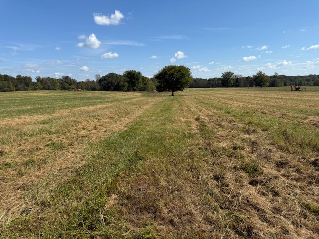 549 Virgil Smith Road Crossville, TN 38571 - Photo 13 of 26 a view of an outdoor space and a yard