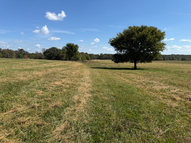 549 Virgil Smith Road Crossville, TN 38571 - Photo 14 of 26 a view of an ocean and a yard