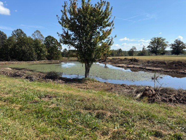 549 Virgil Smith Road Crossville, TN 38571 - Photo 19 of 26 a view of a yard with a tree