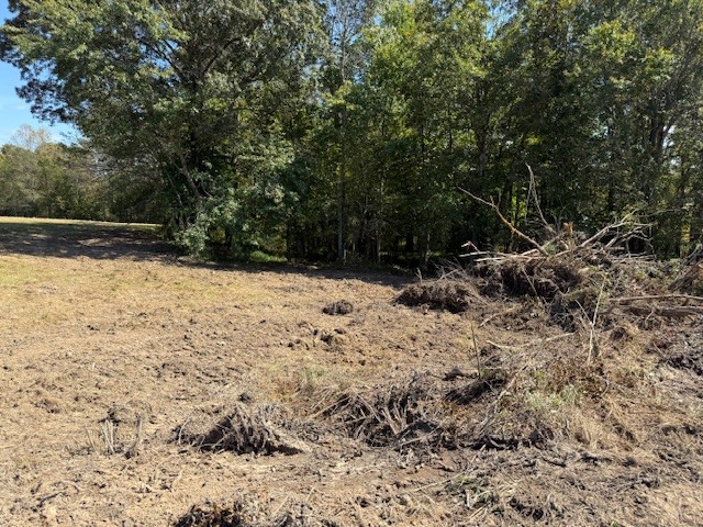 549 Virgil Smith Road Crossville, TN 38571 - Photo 24 of 26 a view of a yard covered in snow
