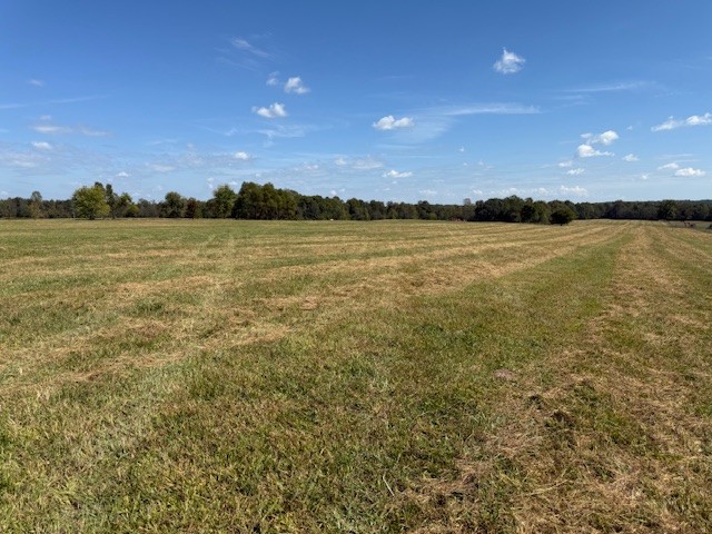 549 Virgil Smith Road Crossville, TN 38571 - Photo 4 of 26 a view of an ocean from a yard
