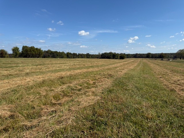 549 Virgil Smith Road Crossville, TN 38571 - Photo 6 of 26 a view of an ocean and beach