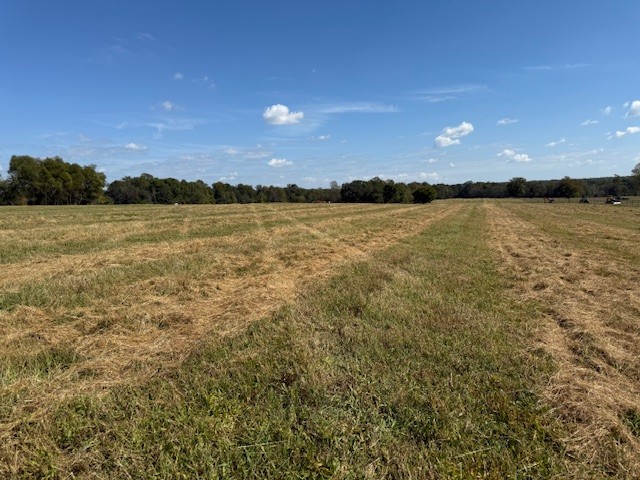 549 Virgil Smith Road Crossville, TN 38571 - Photo 8 of 26 a view of an ocean from a lake