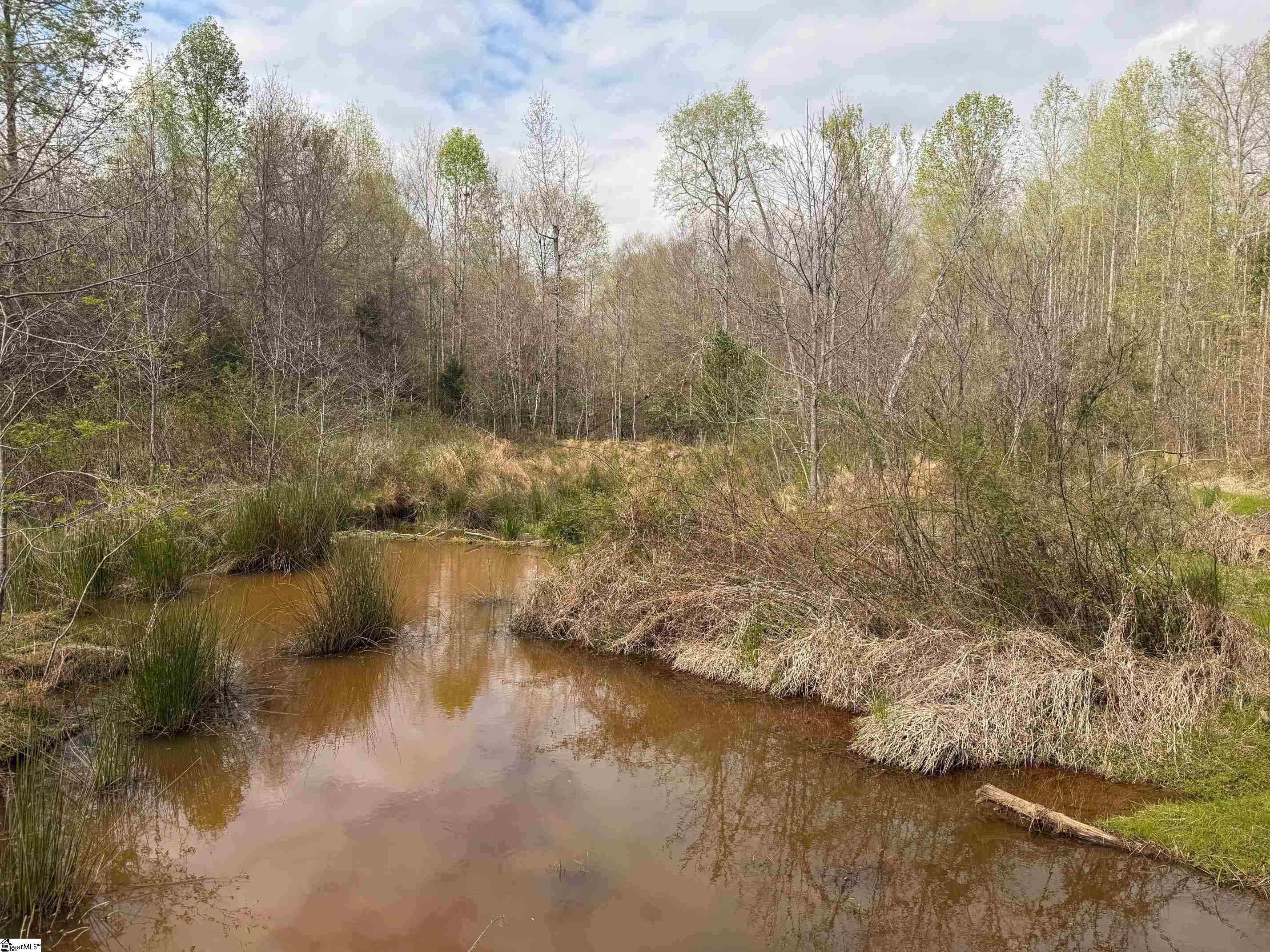 1515 Flat Rock Road Starr, SC 29684 - Photo 1 of 19