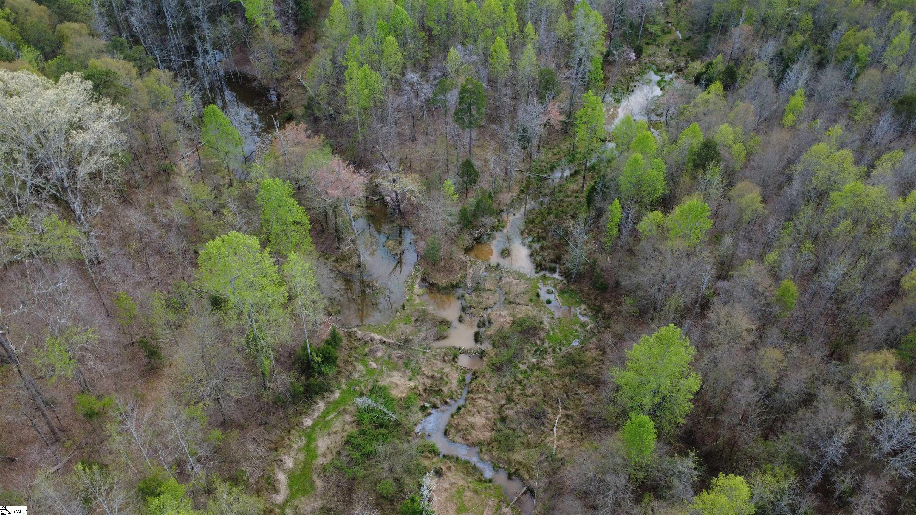 1515 Flat Rock Road Starr, SC 29684 - Photo 11 of 19