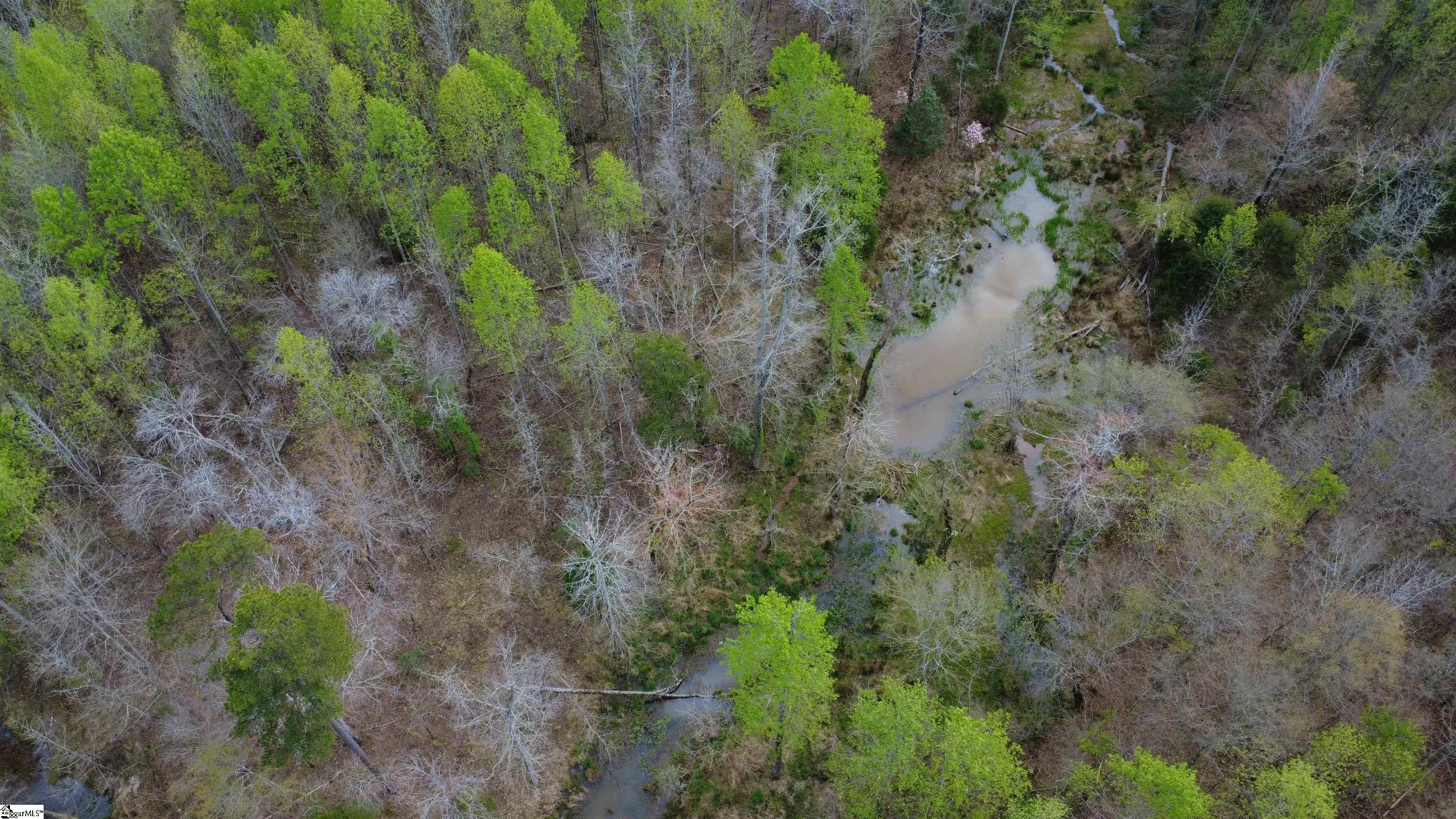 1515 Flat Rock Road Starr, SC 29684 - Photo 13 of 19