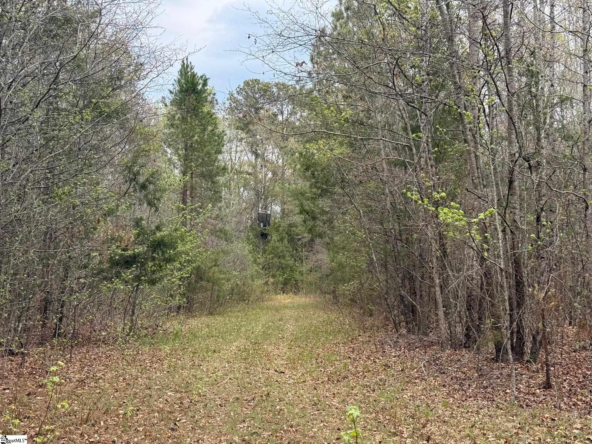 1515 Flat Rock Road Starr, SC 29684 - Photo 14 of 19