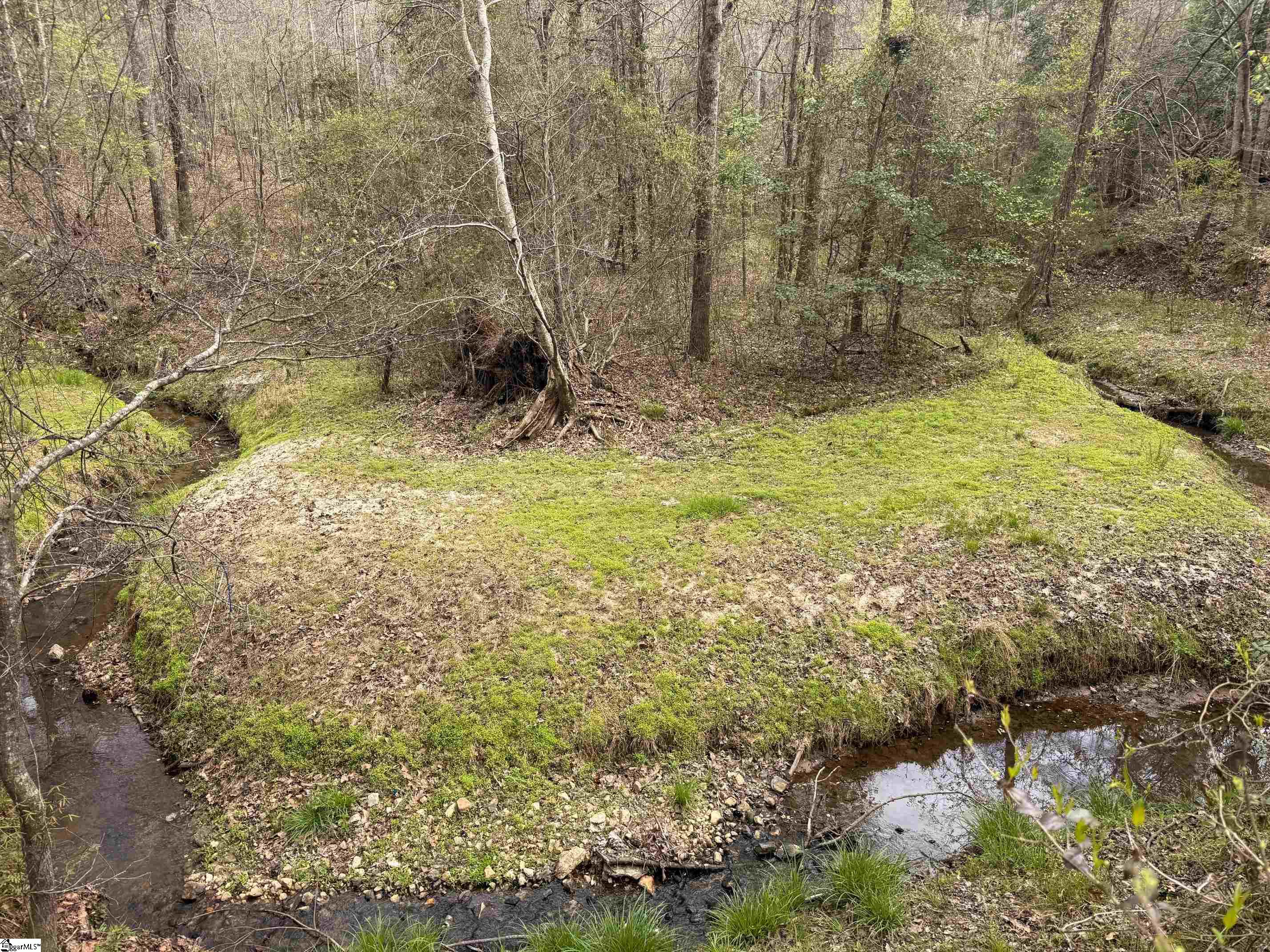 1515 Flat Rock Road Starr, SC 29684 - Photo 15 of 19