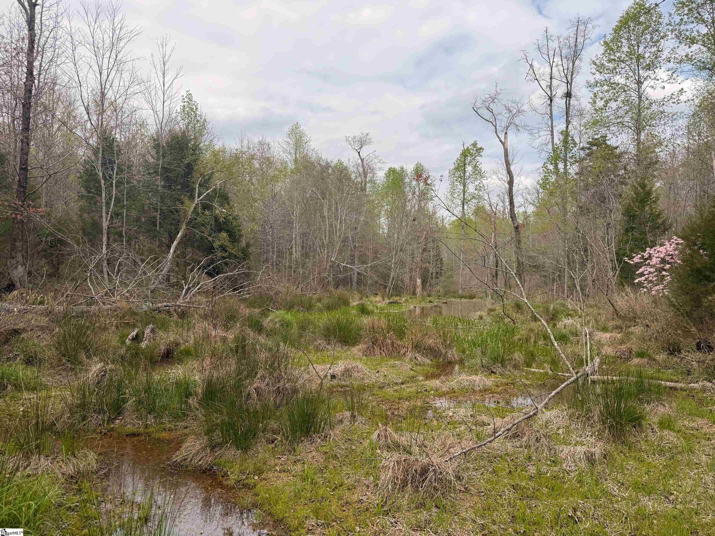 1515 Flat Rock Road Starr, SC 29684 - Photo 17 of 19
