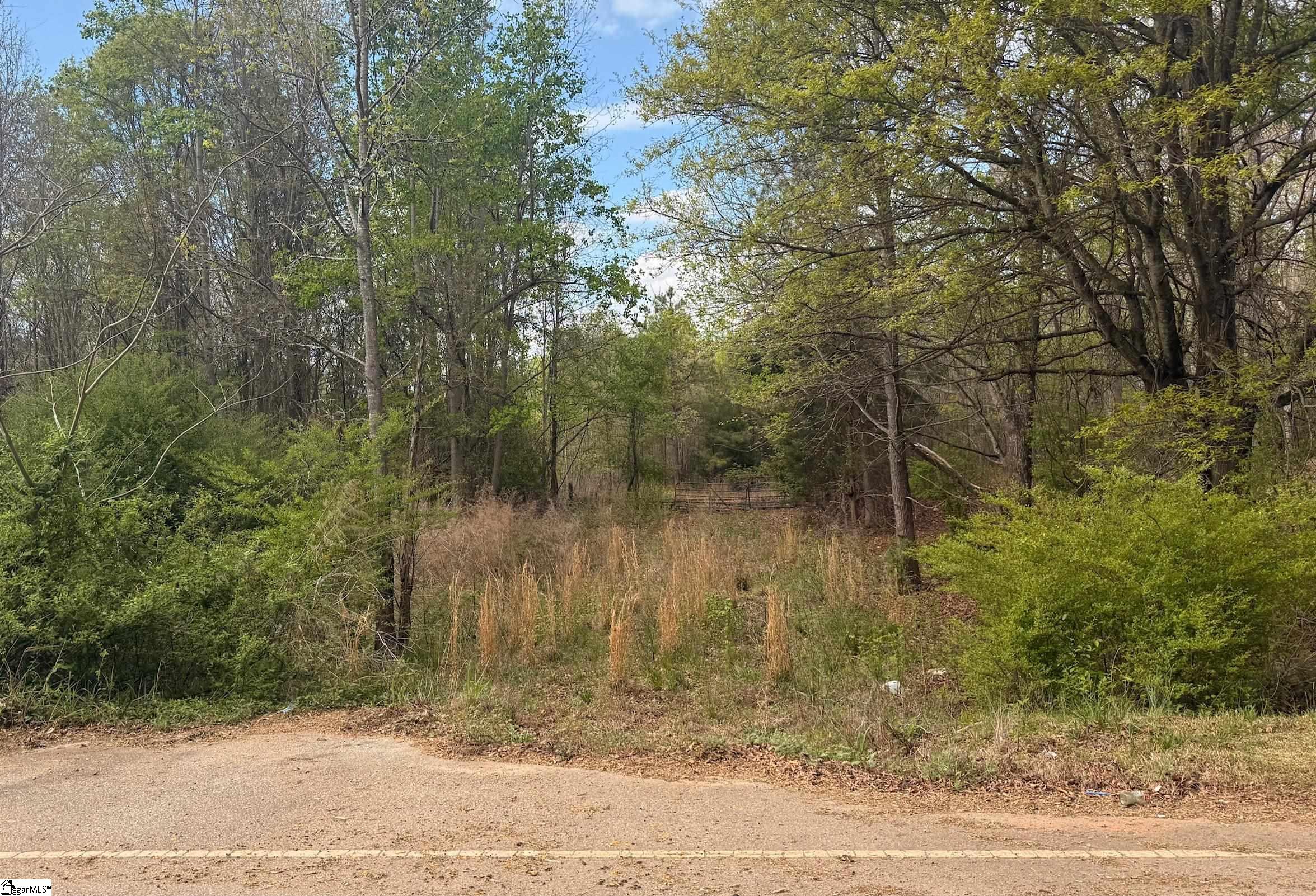 1515 Flat Rock Road Starr, SC 29684 - Photo 2 of 19