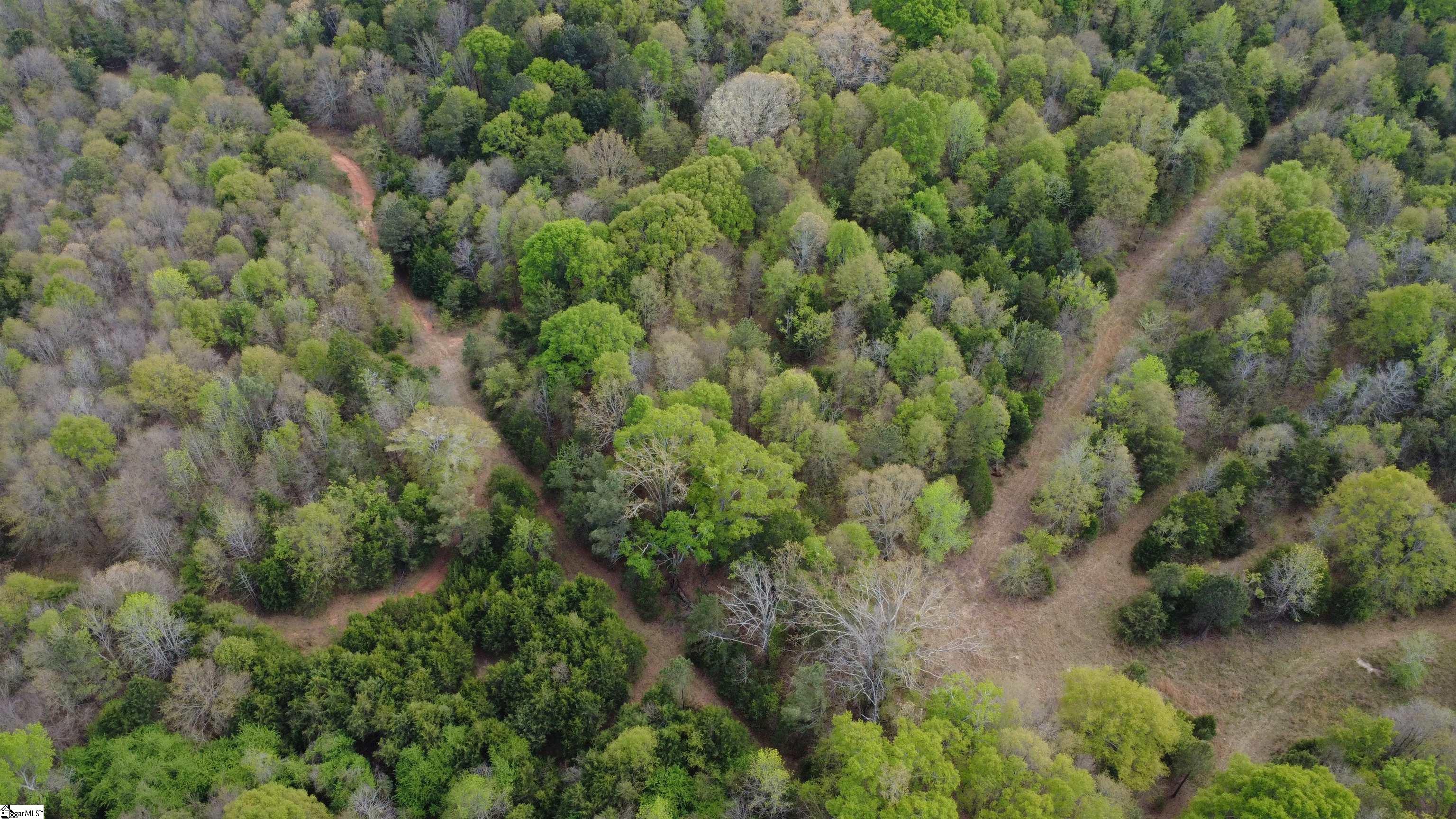1515 Flat Rock Road Starr, SC 29684 - Photo 6 of 19