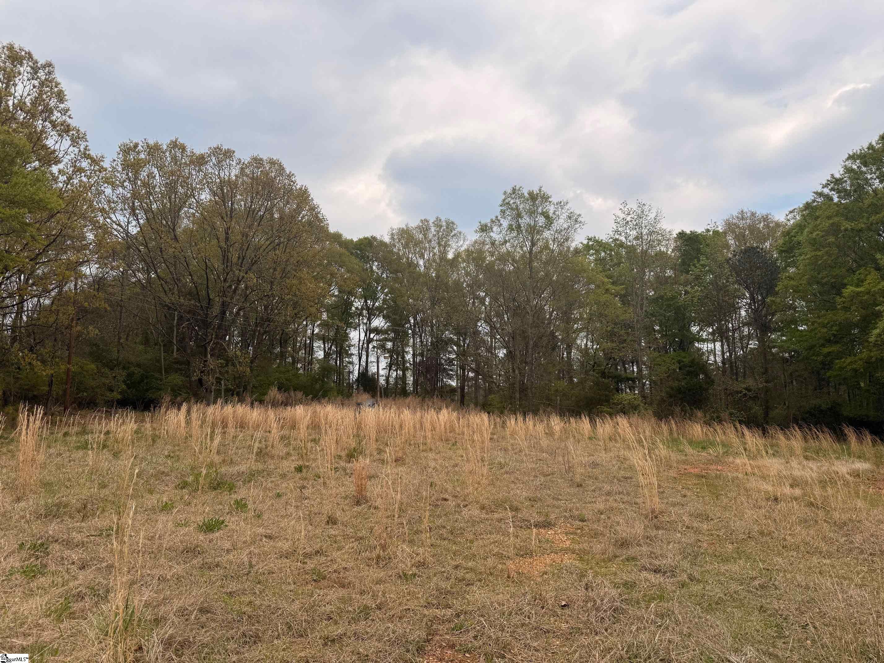 1515 Flat Rock Road Starr, SC 29684 - Photo 7 of 19