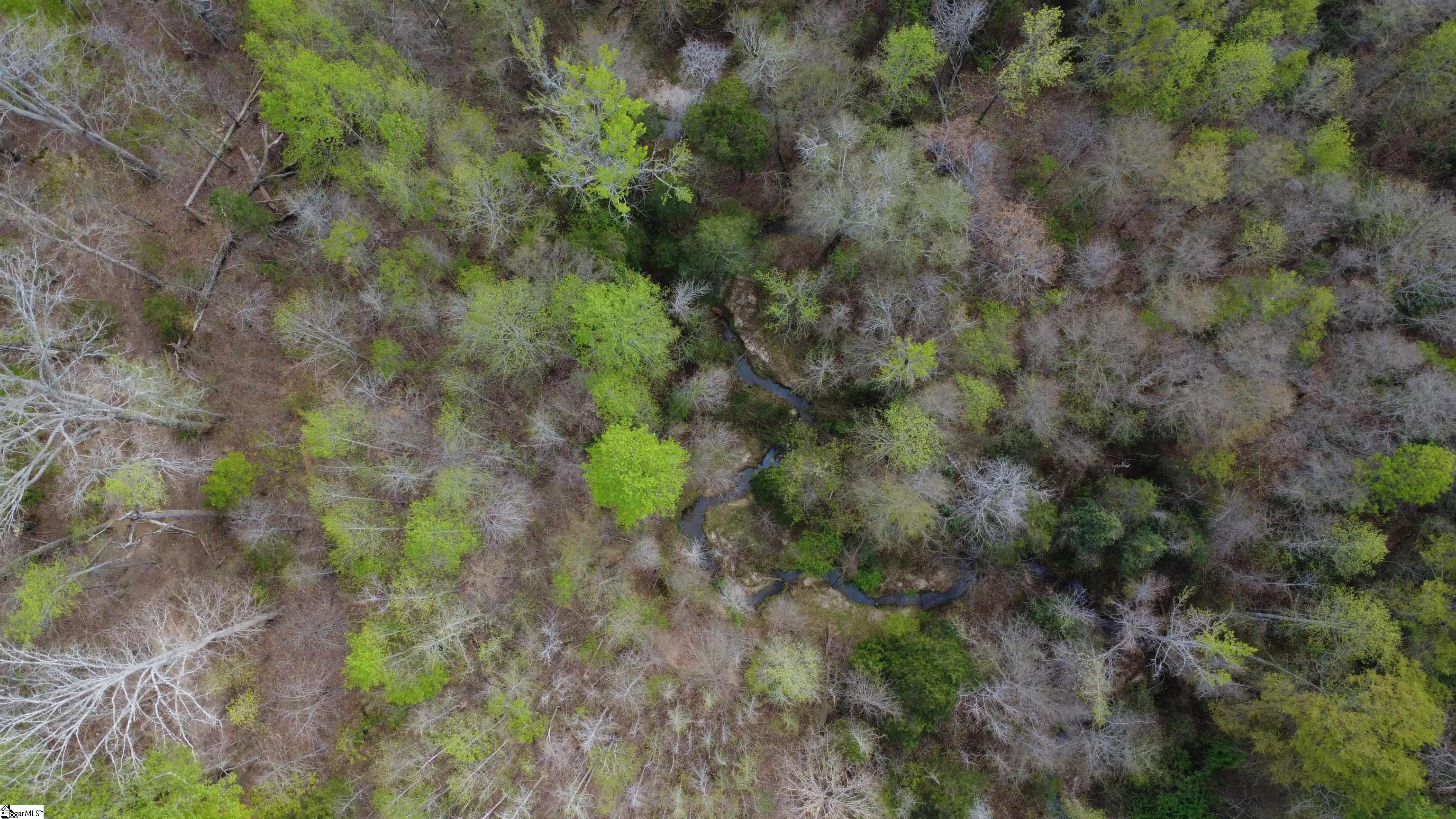 1515 Flat Rock Road Starr, SC 29684 - Photo 9 of 19
