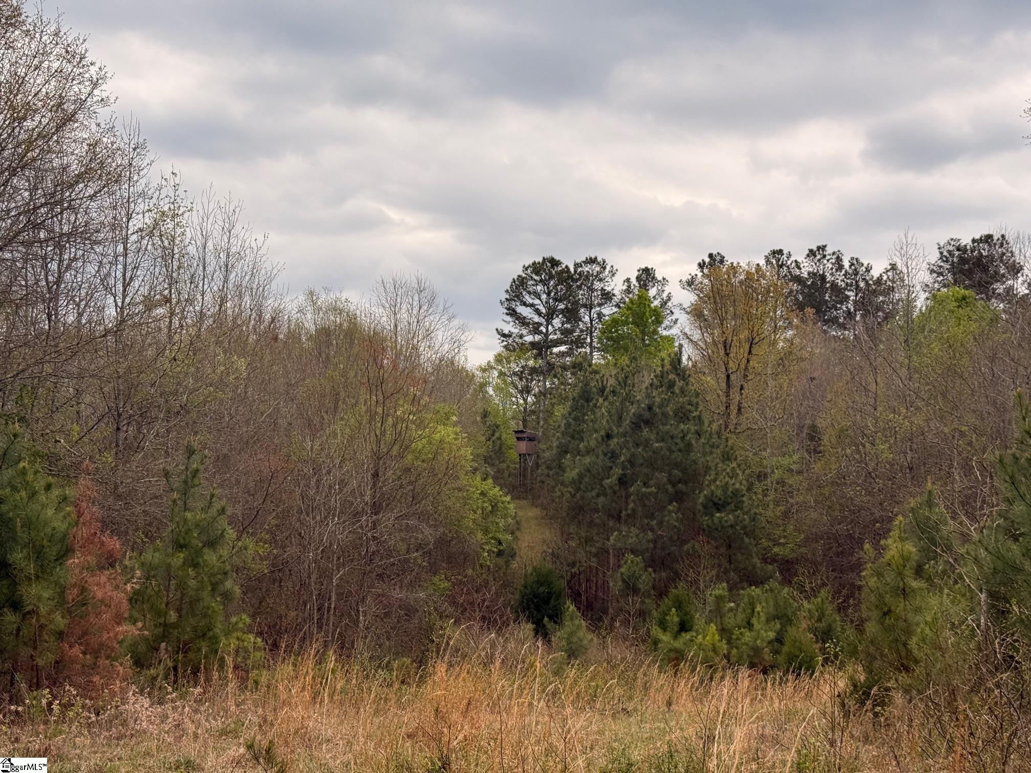 1515 Flat Rock Road Starr, SC 29684 - Photo 10 of 19