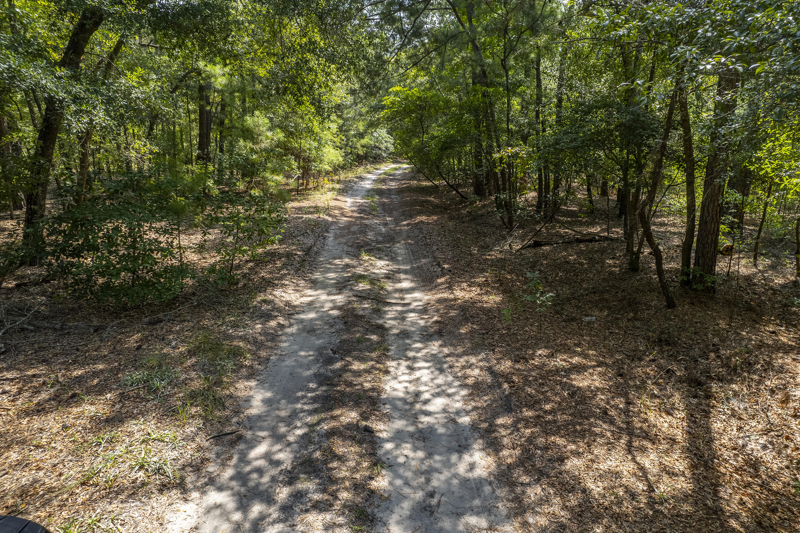 0 Mill Spring Road Hollywood, SC 29449 - Photo 2 of 10 Zyndicate_43 (1)