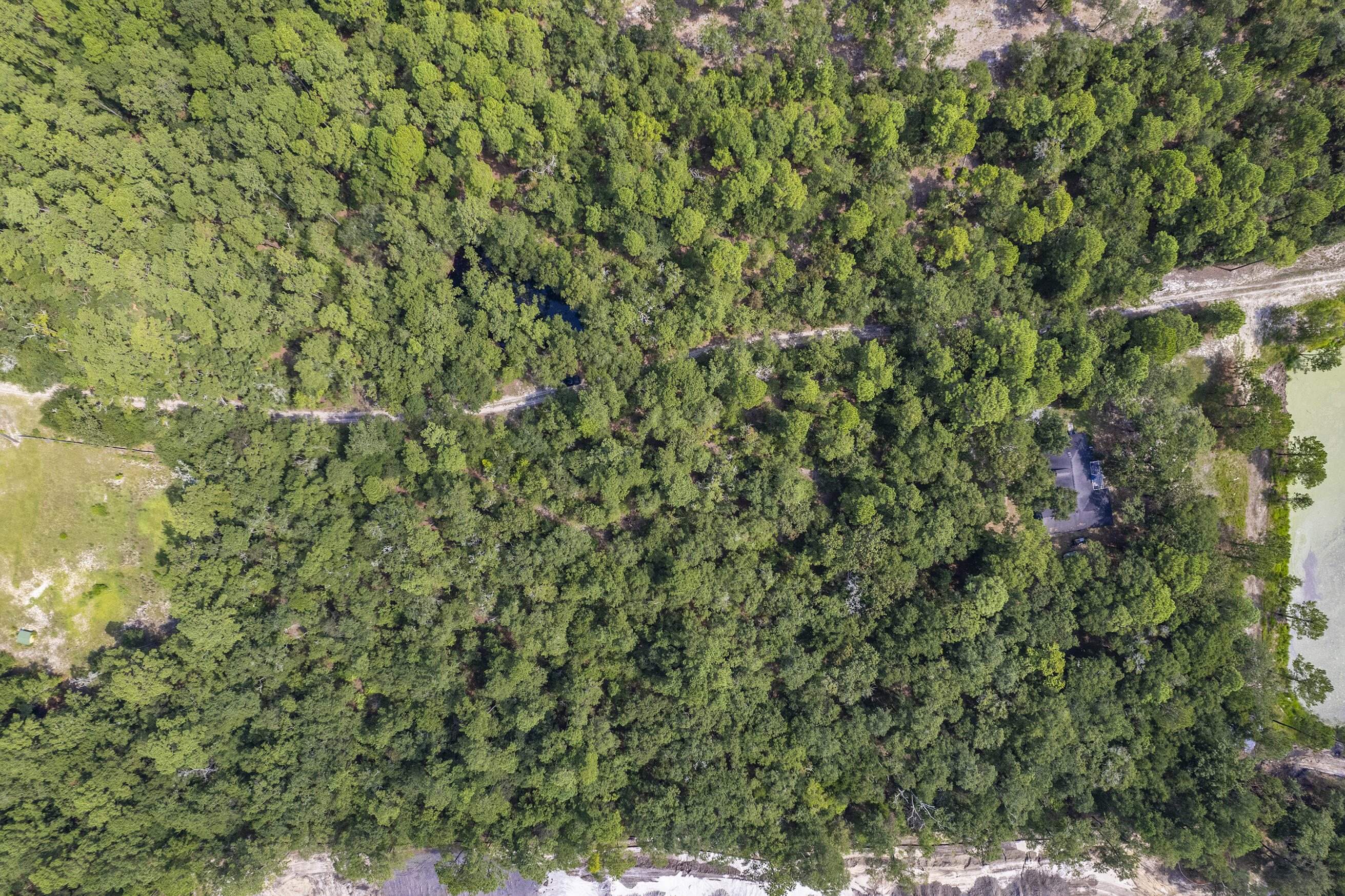 0 Mill Spring Road Hollywood, SC 29449 - Photo 9 of 10 Zyndicate_32