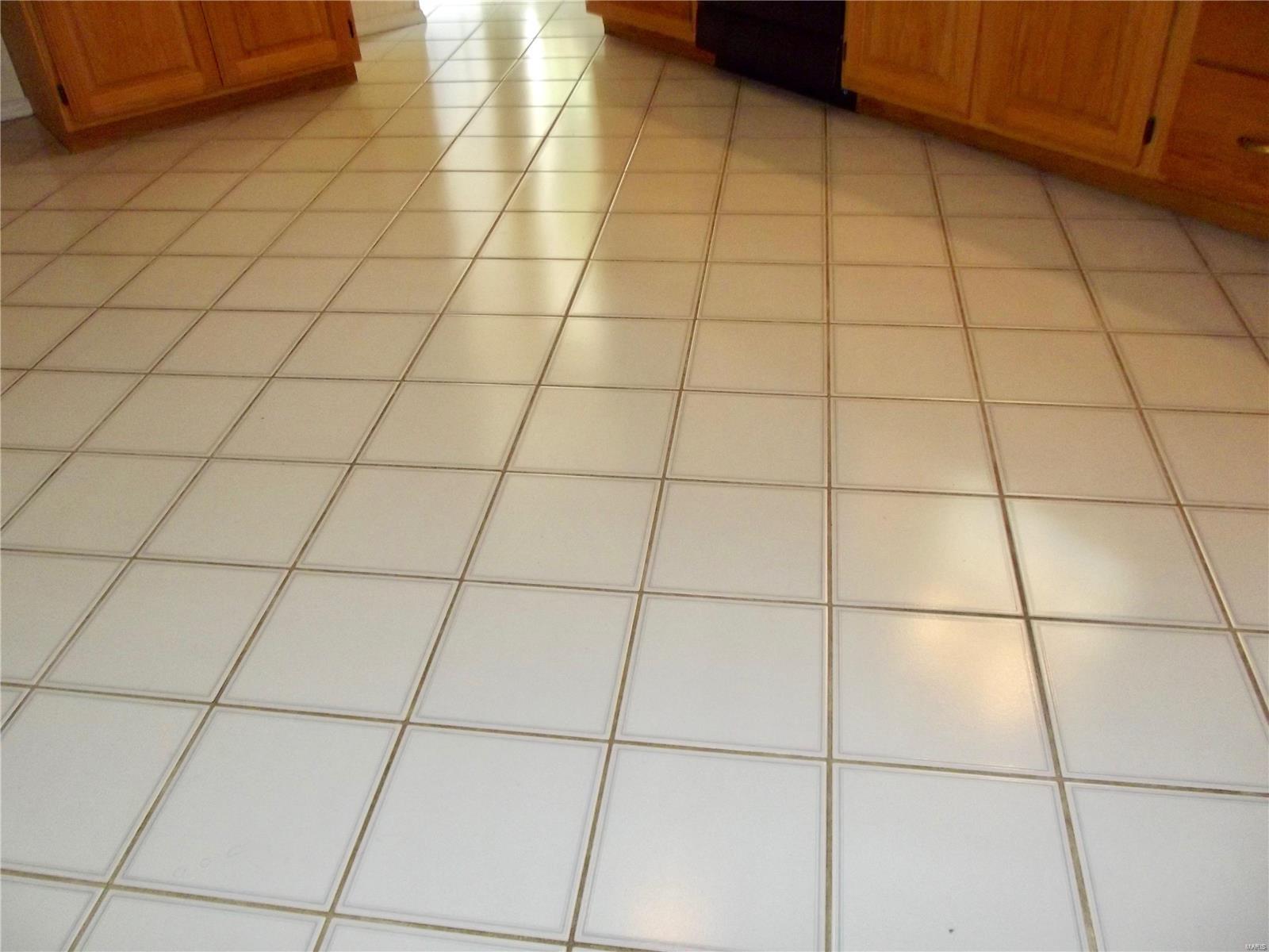 10812 Lacklink Road St. Louis, MO 63114 - Photo 10 of 30 Gallery Image 10