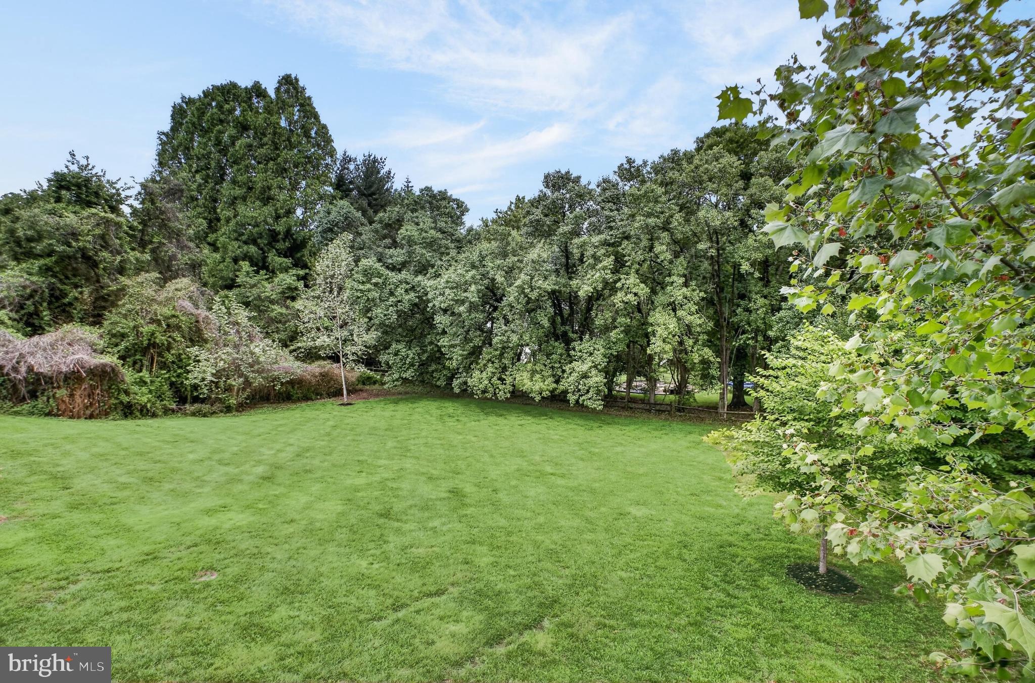 7112 Georgetown Pike McLean, VA 22101 - Photo 53 of 59 Yard