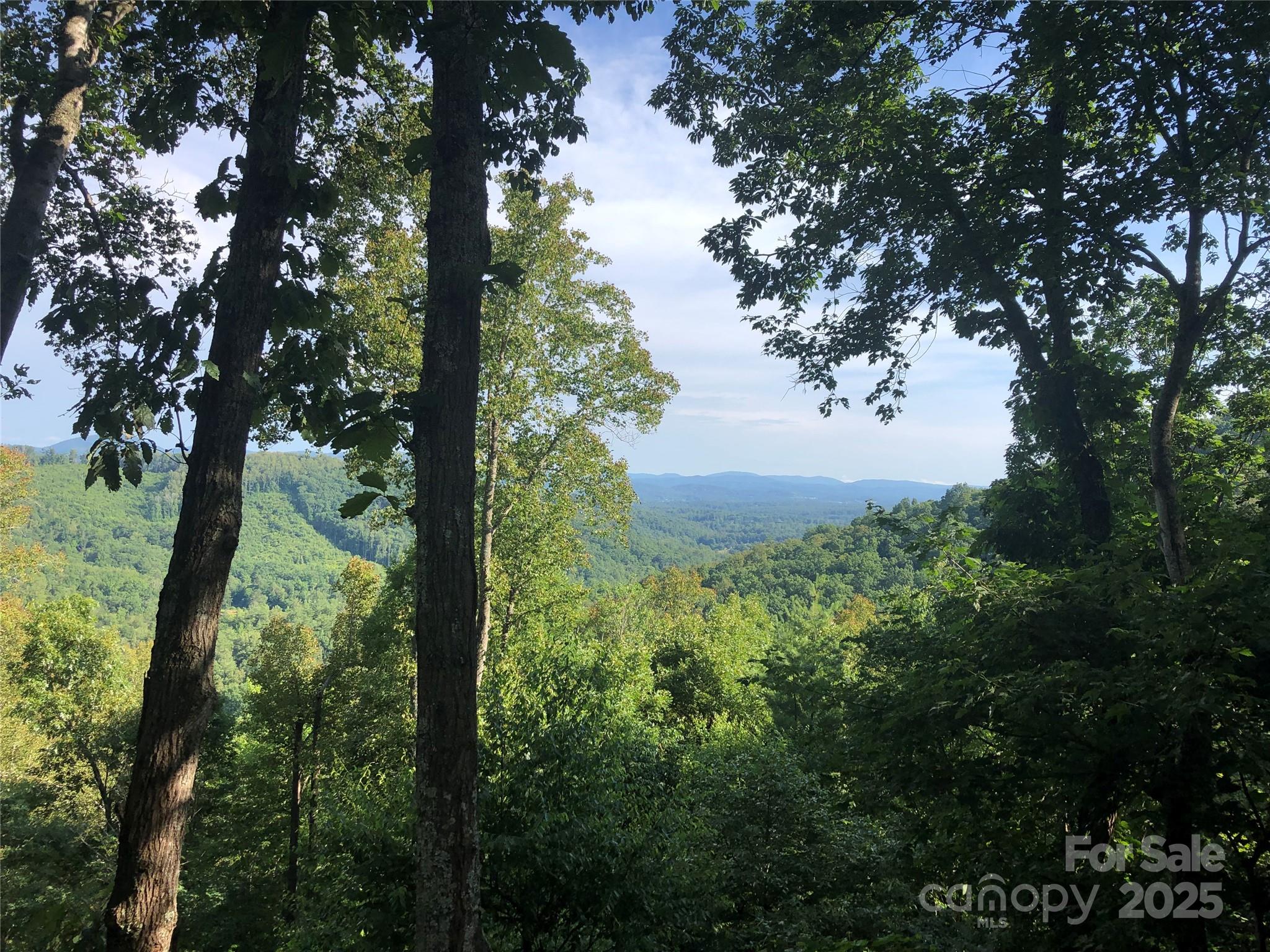 5 Powder Ridge Drive Asheville, NC 28803 - Photo 30 of 47