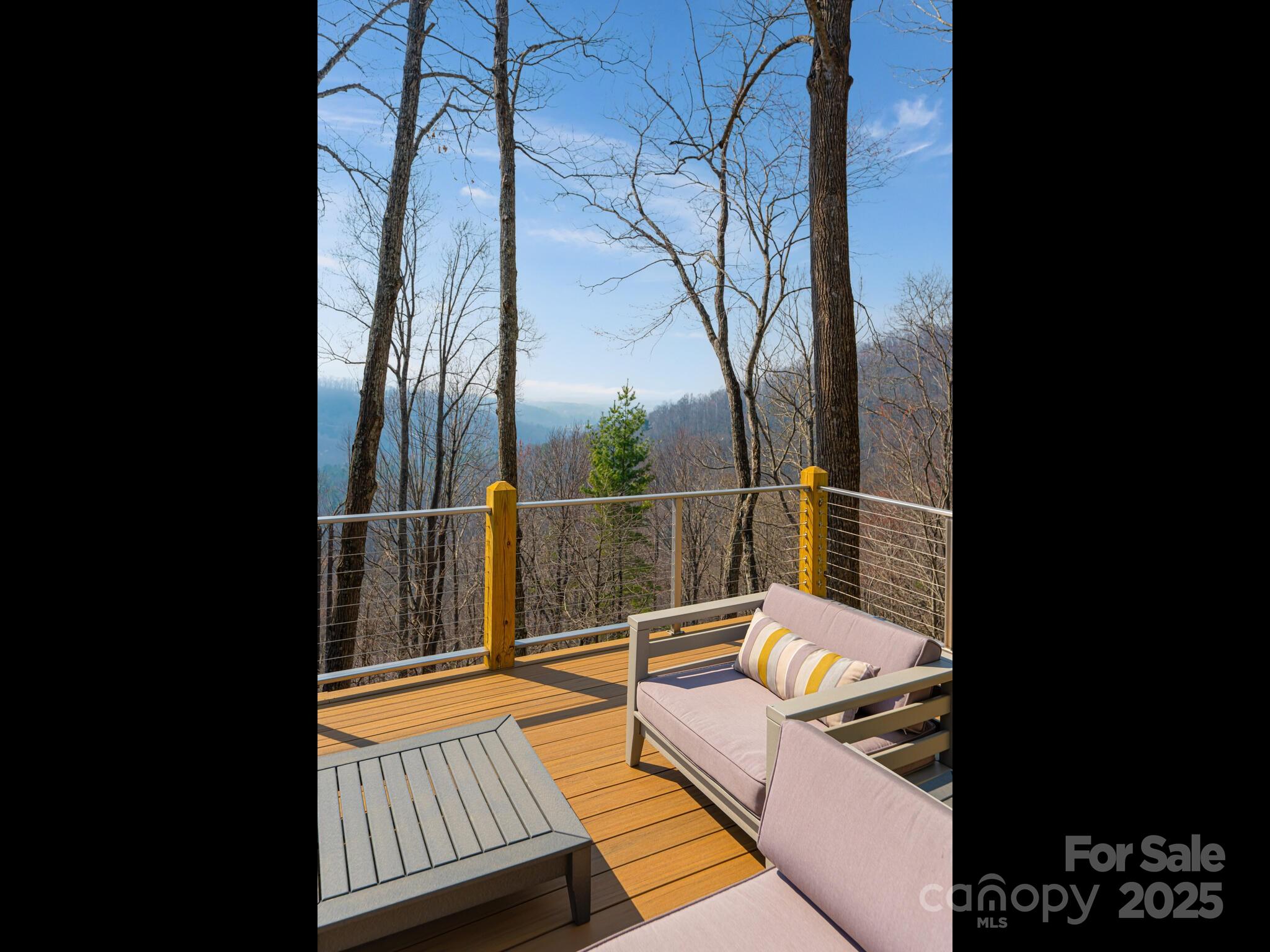 5 Powder Ridge Drive Asheville, NC 28803 - Photo 35 of 47