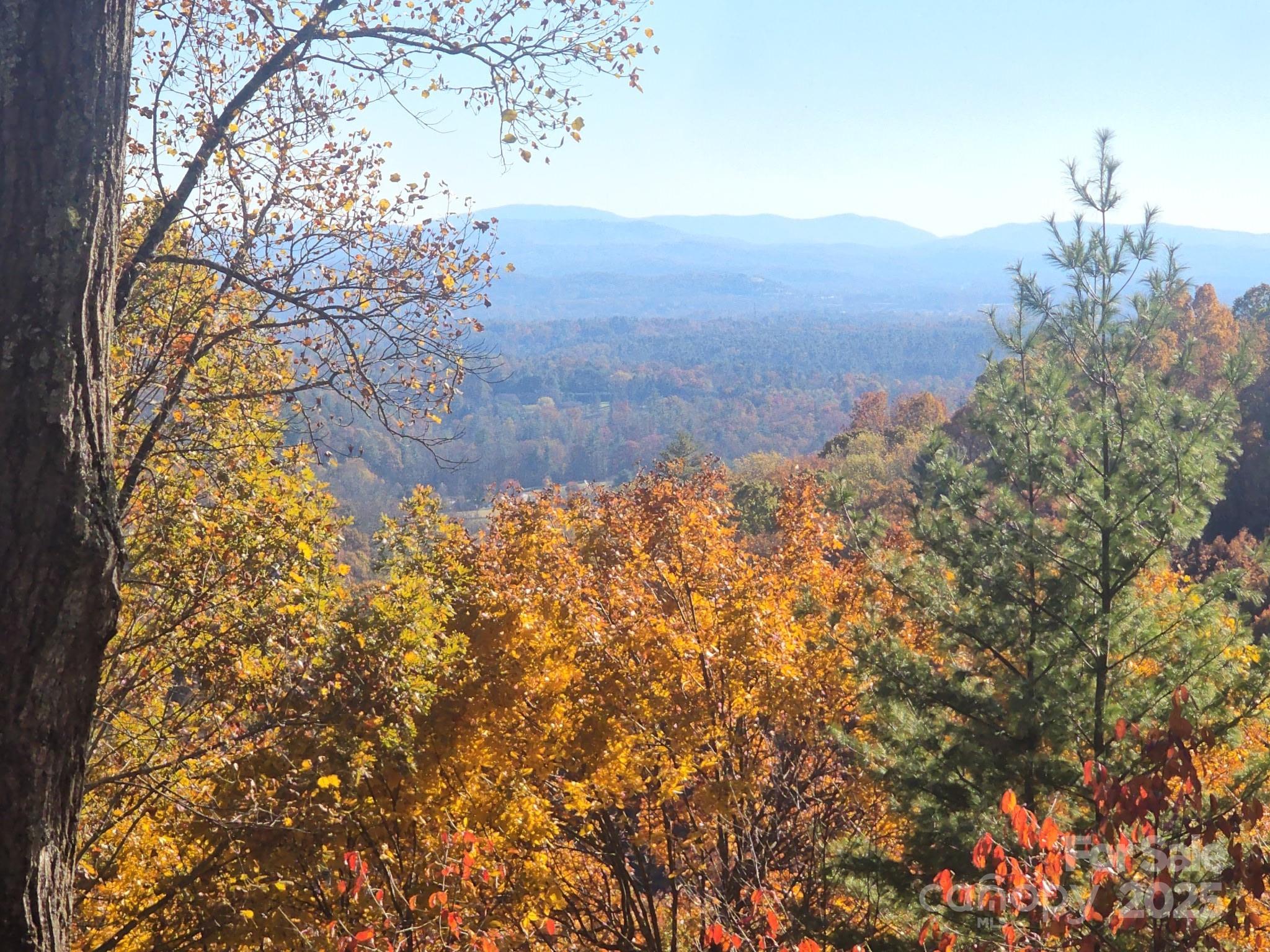 5 Powder Ridge Drive Asheville, NC 28803 - Photo 41 of 47