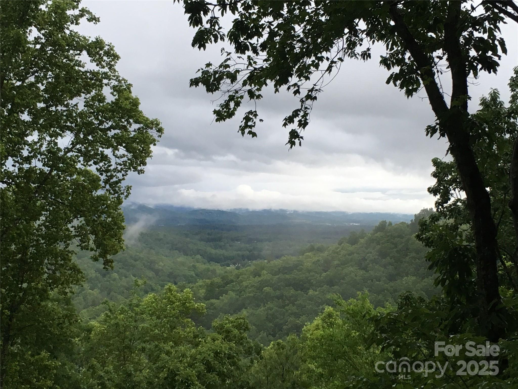 5 Powder Ridge Drive Asheville, NC 28803 - Photo 42 of 47