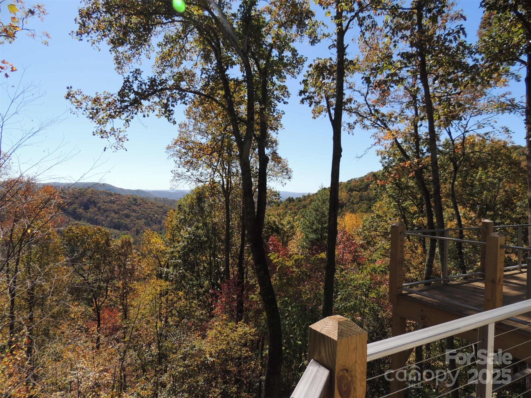 5 Powder Ridge Drive Asheville, NC 28803 - Photo 43 of 47