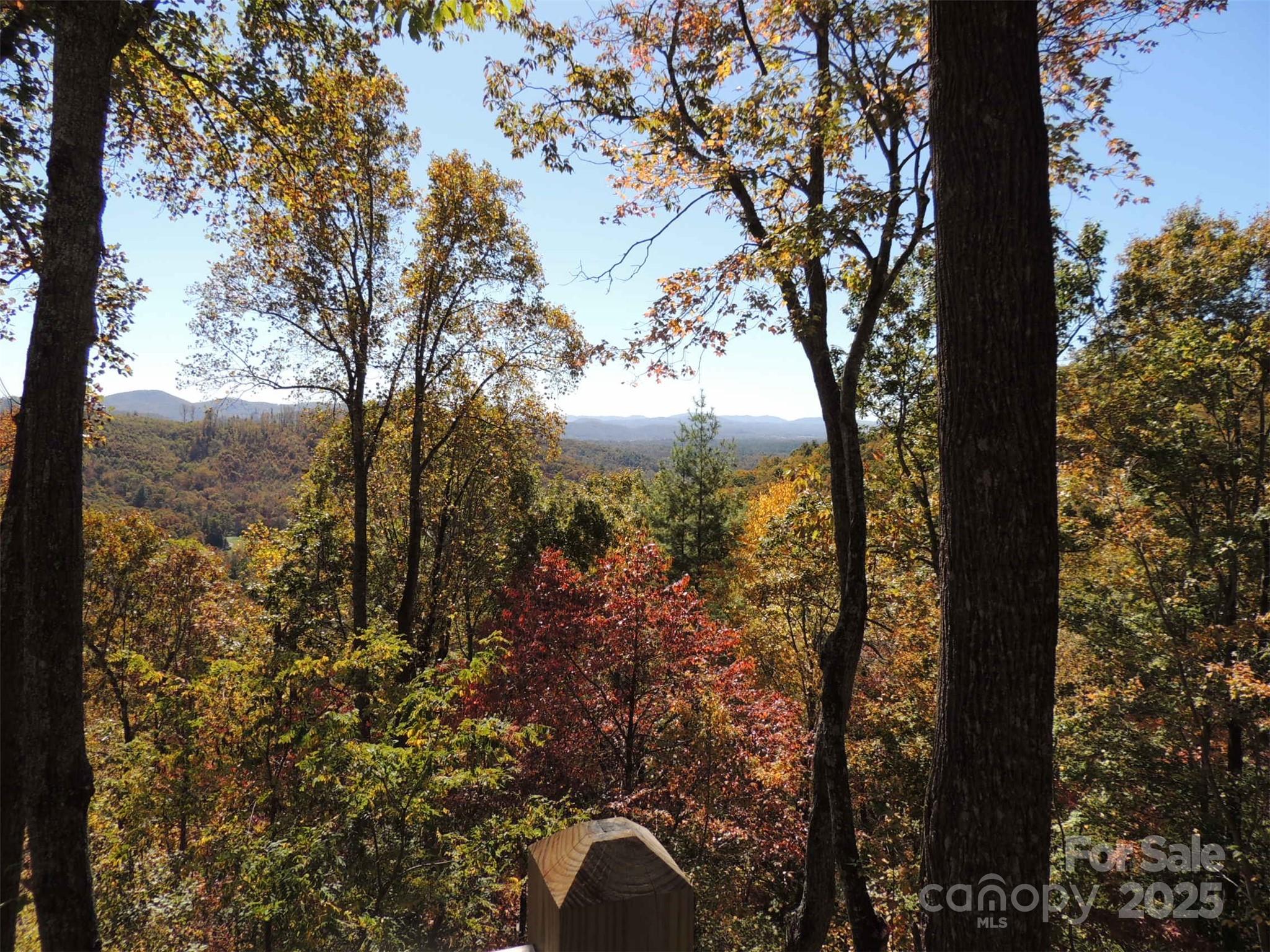 5 Powder Ridge Drive Asheville, NC 28803 - Photo 44 of 47