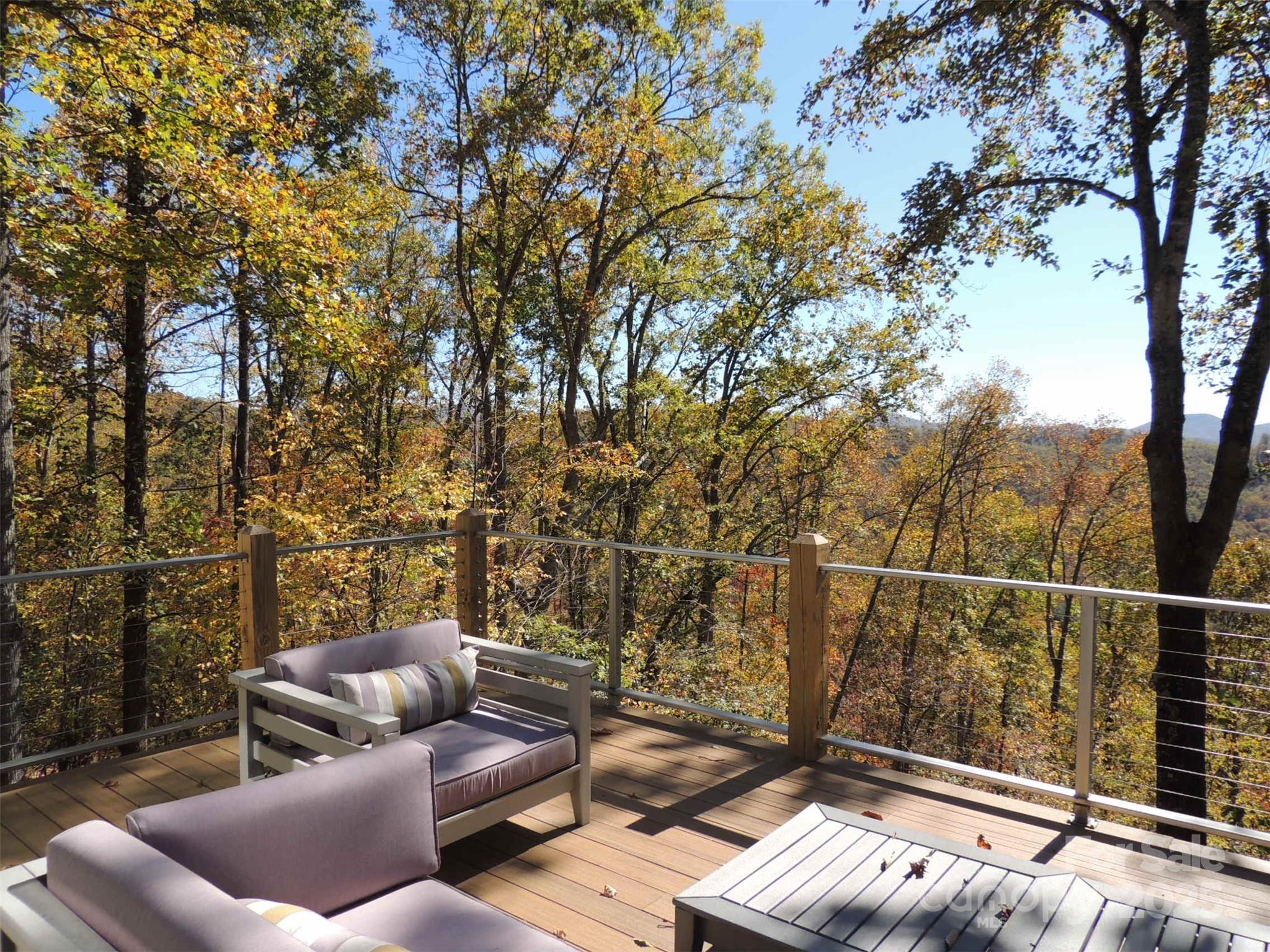 5 Powder Ridge Drive Asheville, NC 28803 - Photo 45 of 47