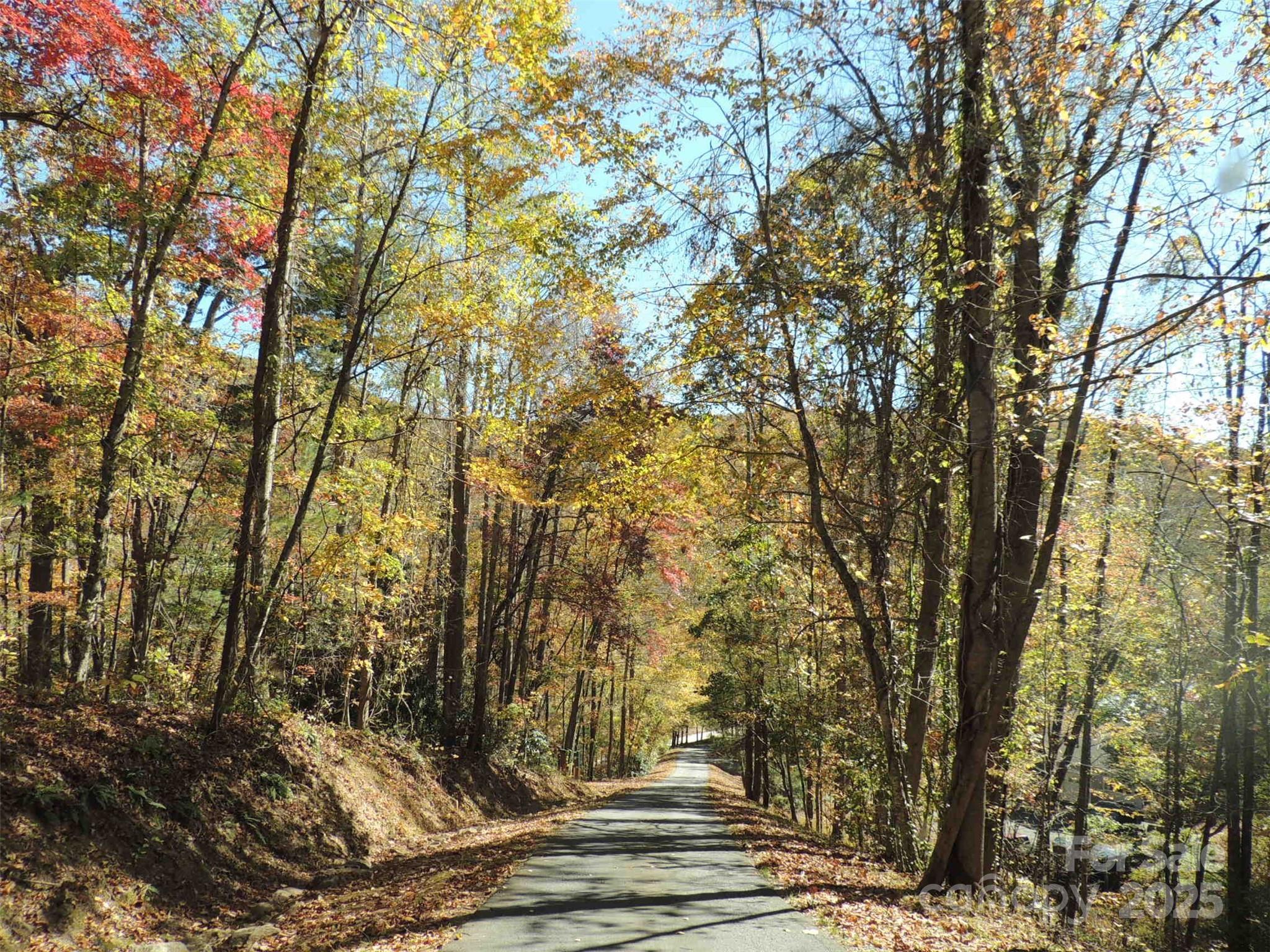 5 Powder Ridge Drive Asheville, NC 28803 - Photo 46 of 47