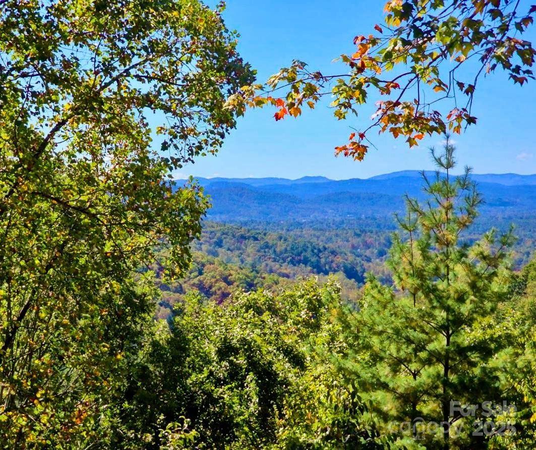 5 Powder Ridge Drive Asheville, NC 28803 - Photo 47 of 47