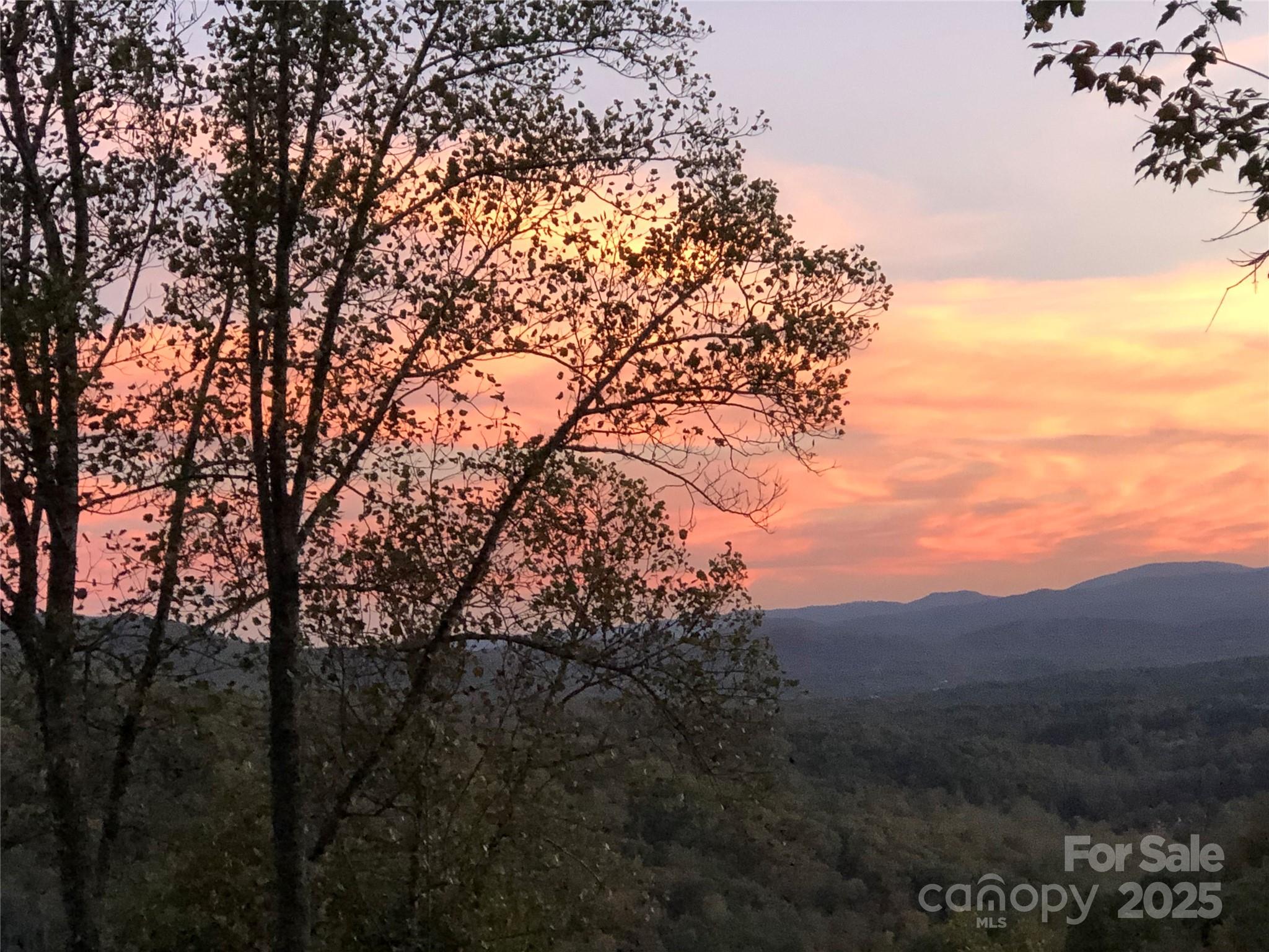 5 Powder Ridge Drive Asheville, NC 28803 - Photo 5 of 47