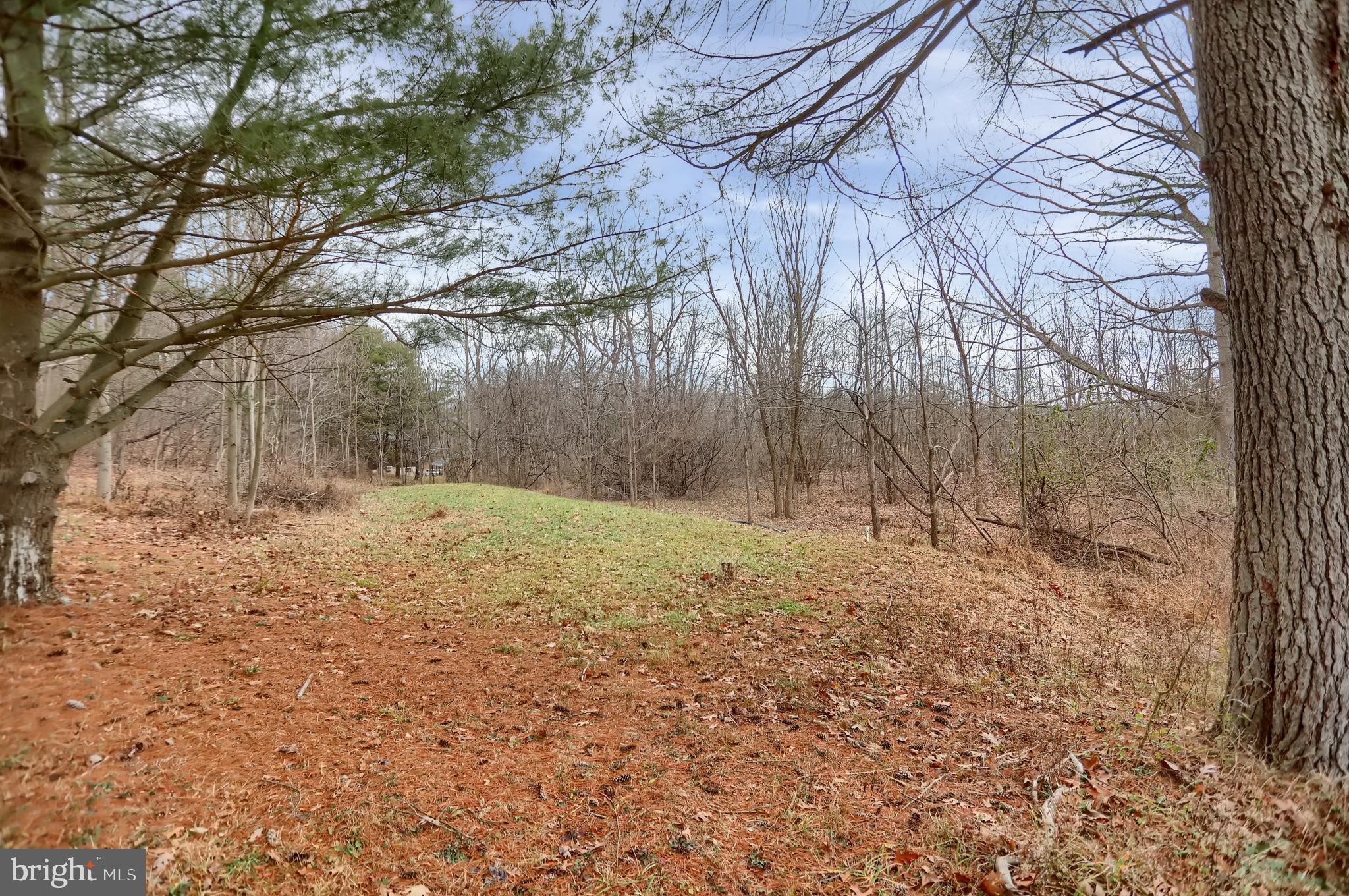 2716 Whitesel Road James Creek, PA 16657 - Photo 11 of 66 a view of a yard with trees