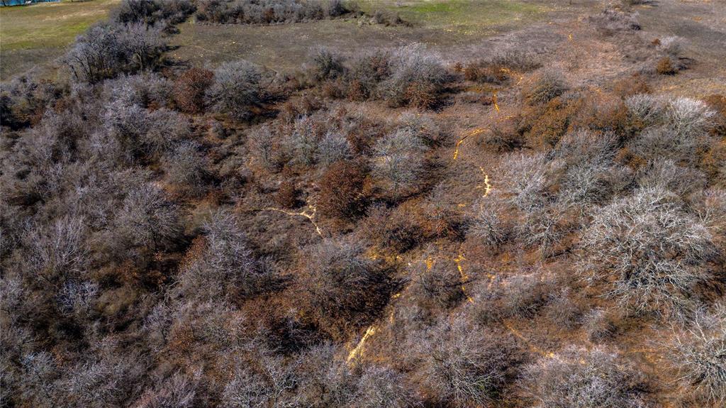 Tbd Salt Creek Road Poolville, TX 76487 - Photo 13 of 40