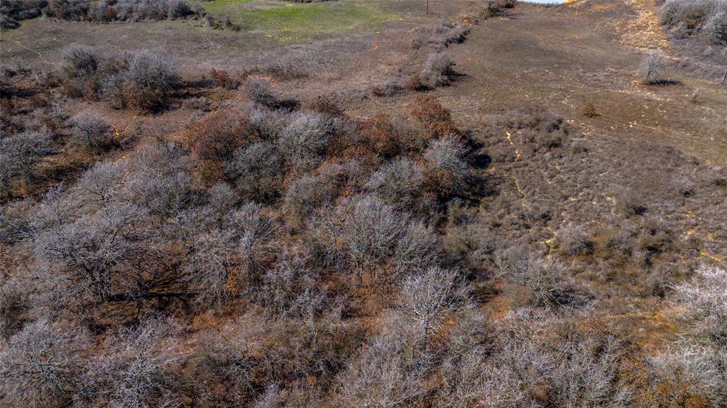 Tbd Salt Creek Road Poolville, TX 76487 - Photo 16 of 40 a view of a dry yard with lots of bushes