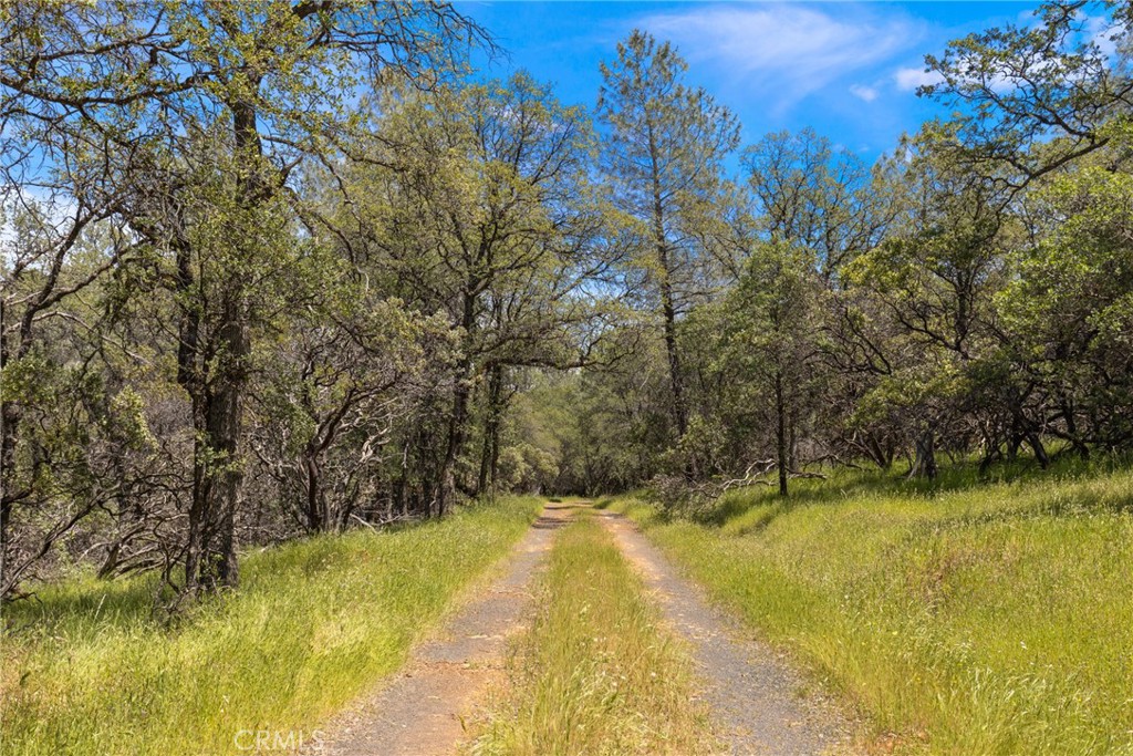 4 Oregon Gulch Road Oroville, CA 95965 - Photo 1 of 1 Gallery Image 1