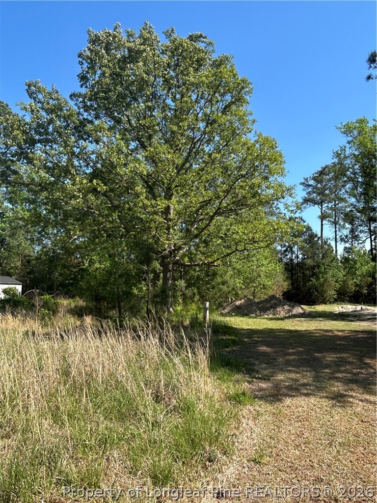 3806 McBryde Road Linden, NC 28356 - Photo 3 of 8
