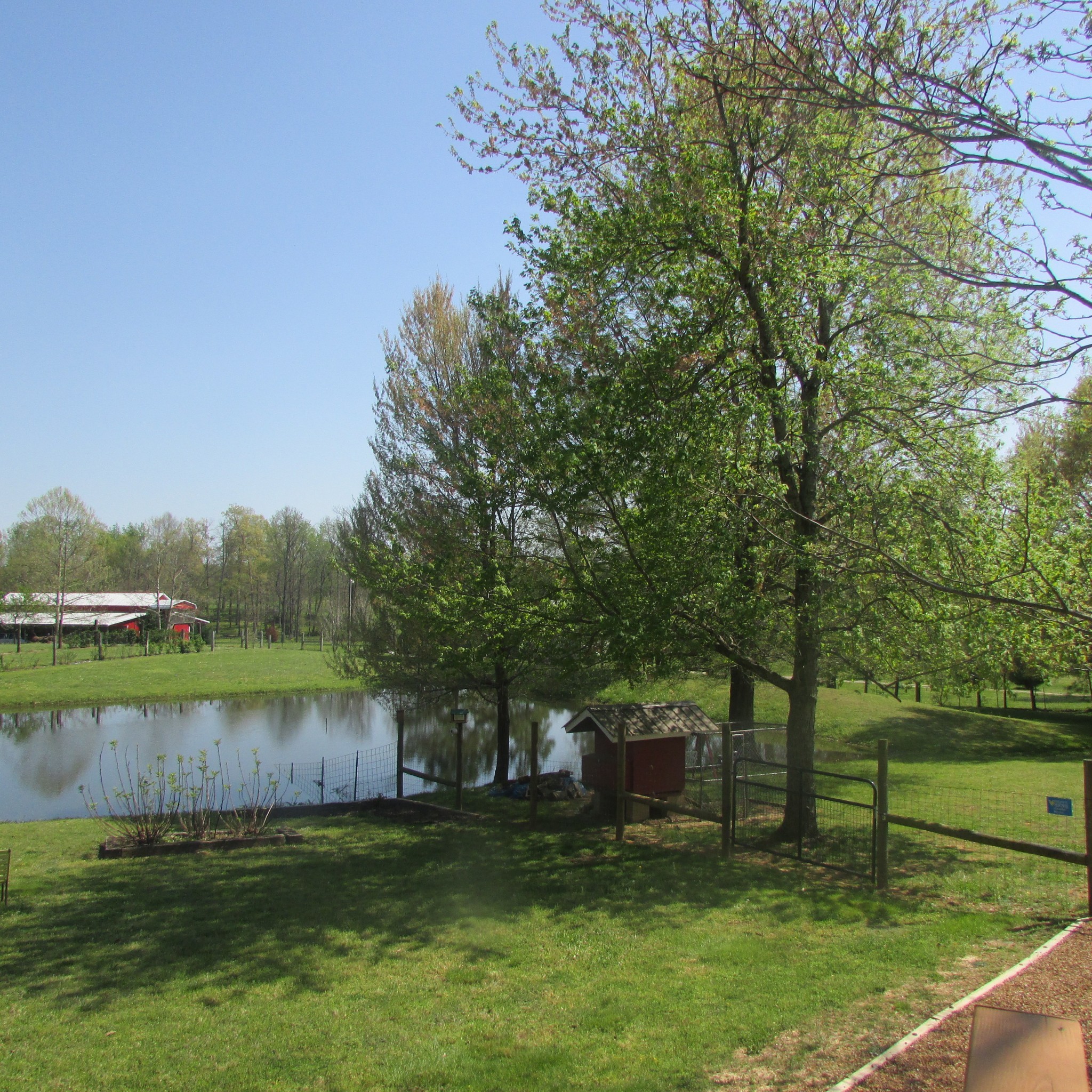 75 Snell Road Ethridge, TN 38456 - Photo 27 of 51 a backyard of a house with lots of green space and lake view