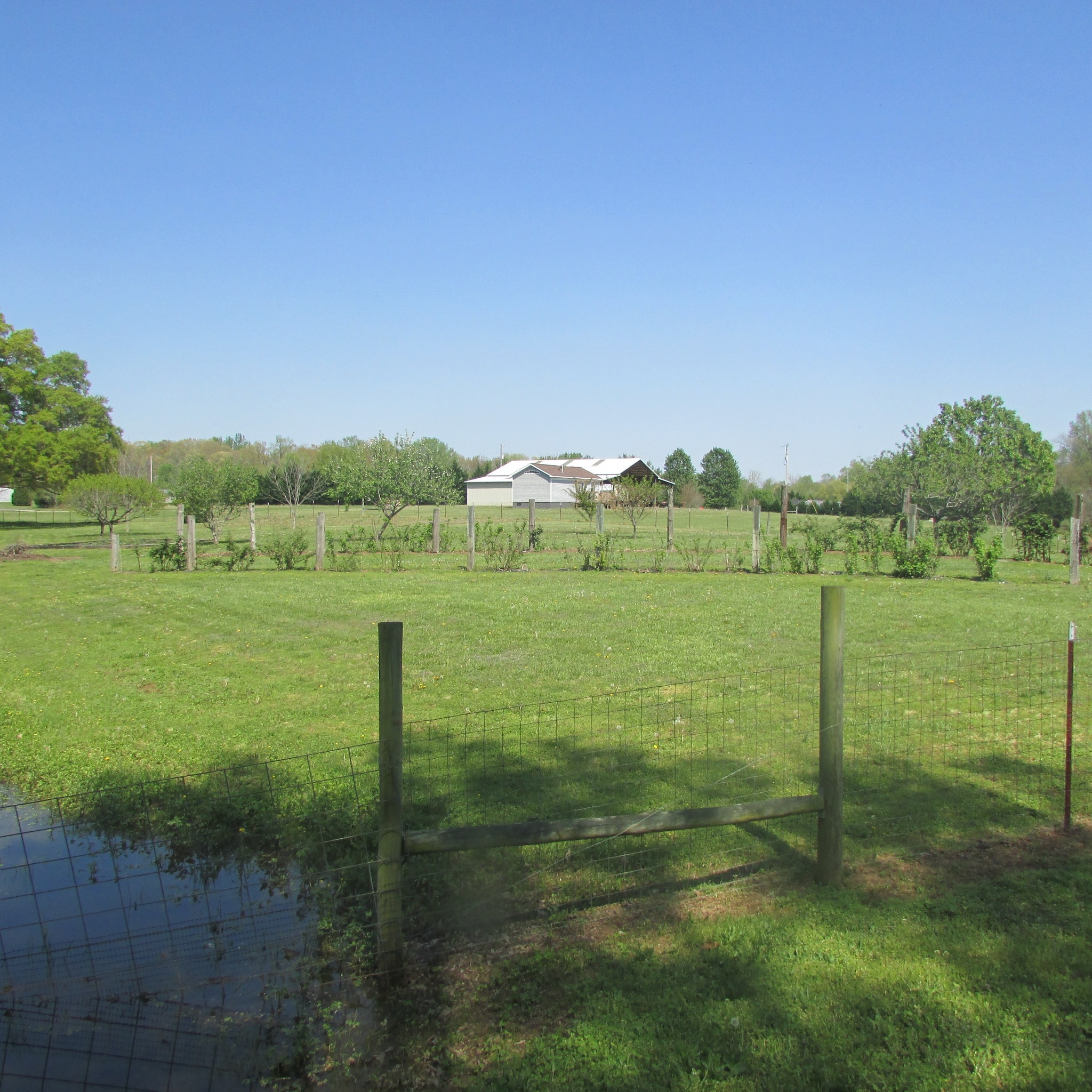 75 Snell Road Ethridge, TN 38456 - Photo 33 of 51 a view of a garden with a lake
