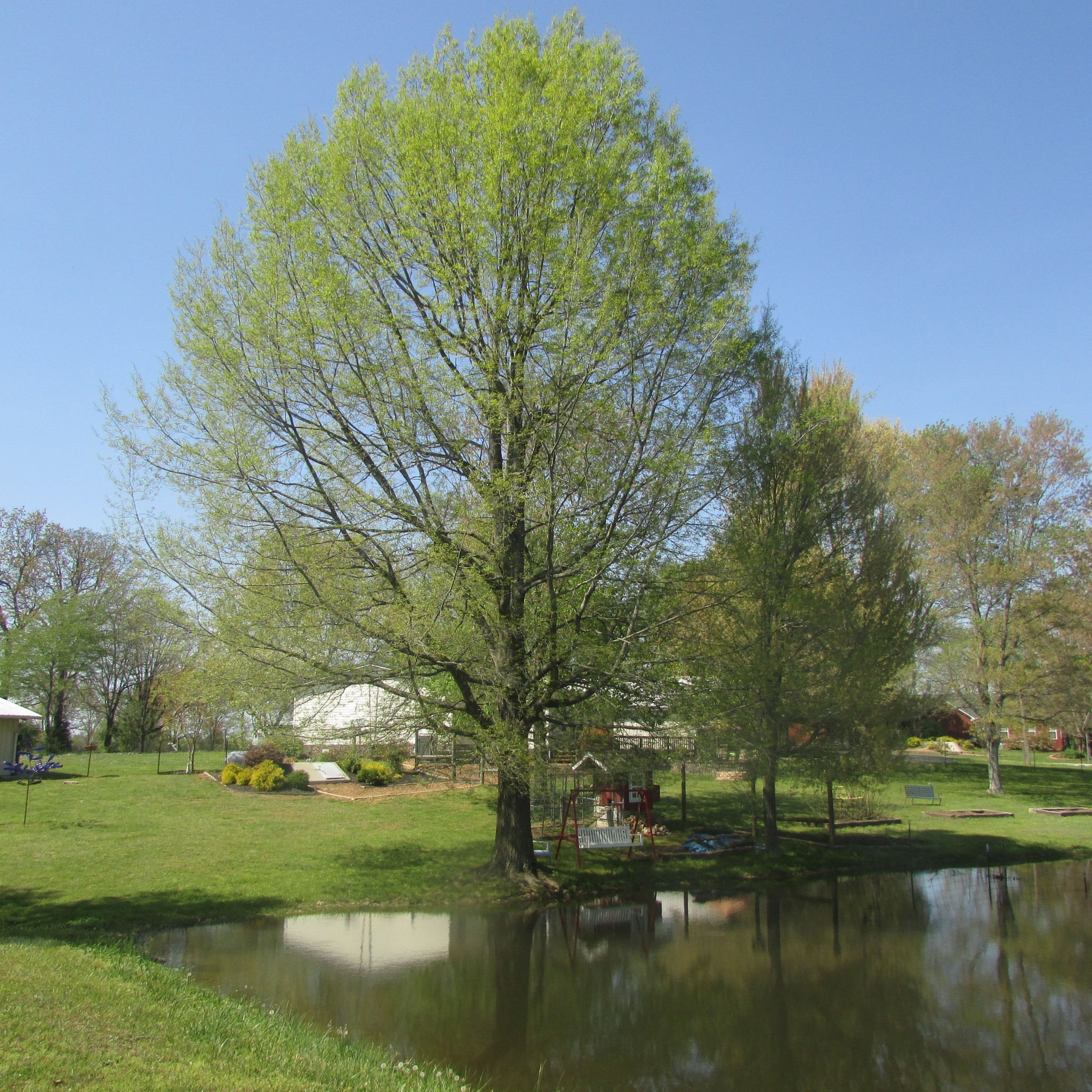 75 Snell Road Ethridge, TN 38456 - Photo 35 of 51 a view of a lake with houses