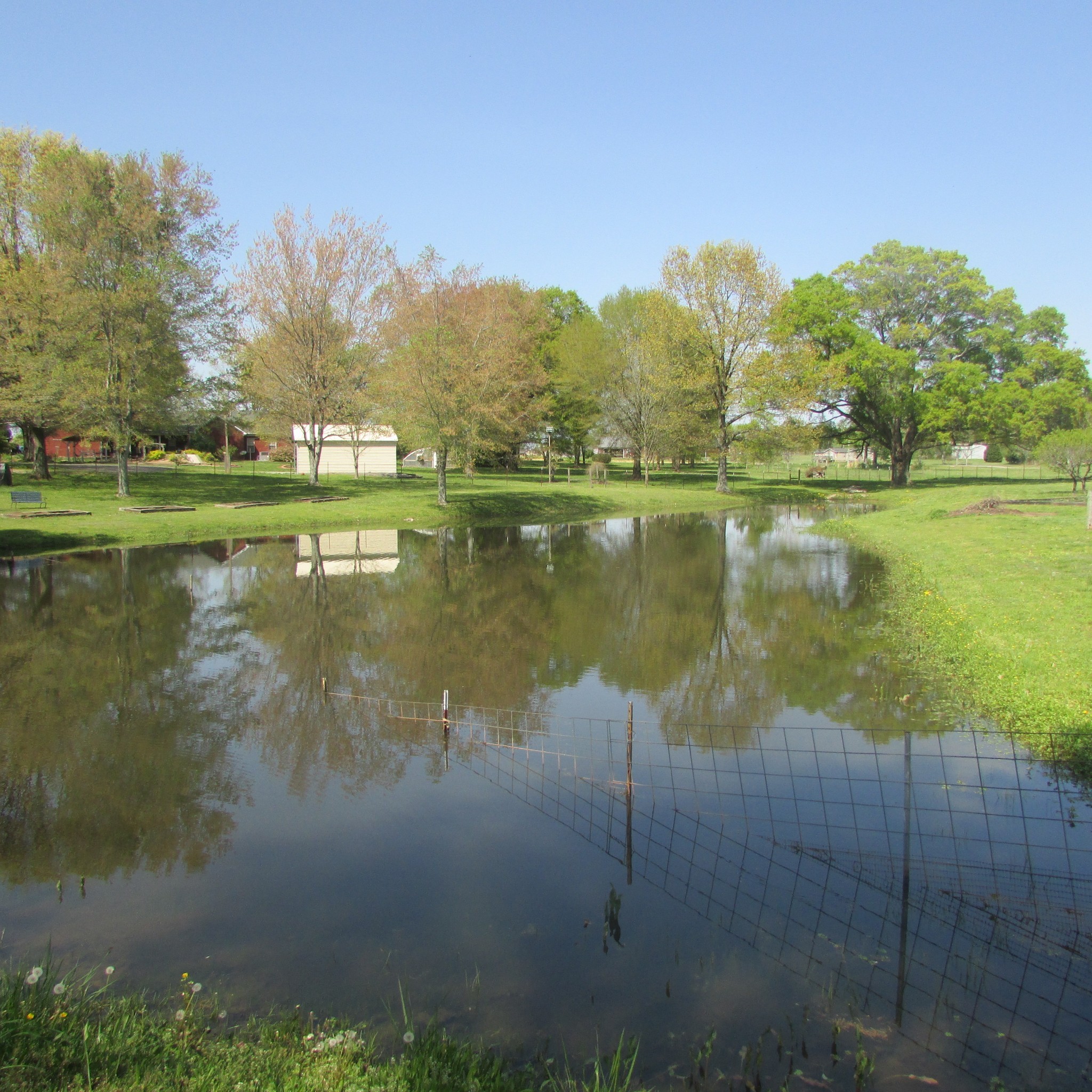 75 Snell Road Ethridge, TN 38456 - Photo 5 of 51 a view of lake
