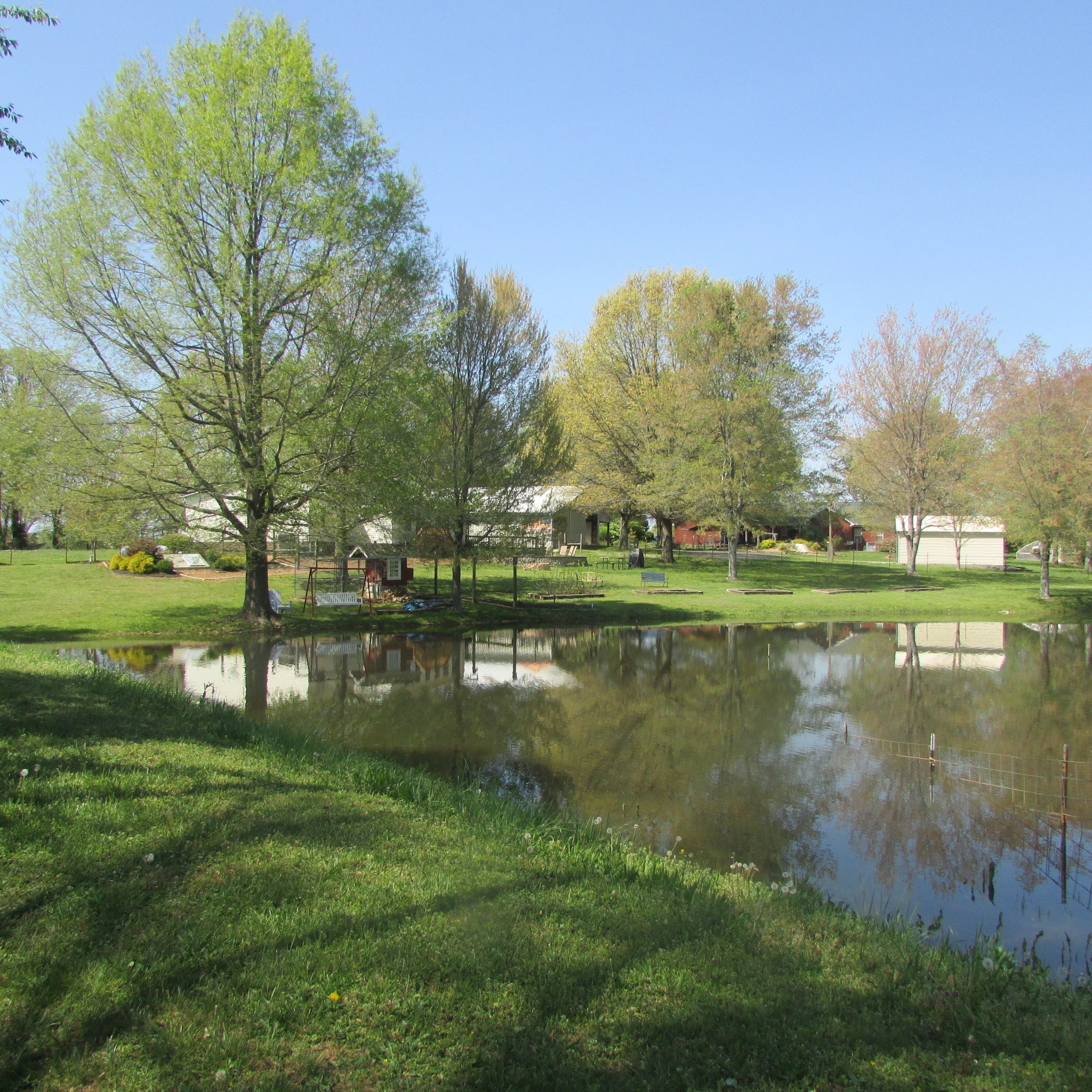 75 Snell Road Ethridge, TN 38456 - Photo 6 of 51 a view of lake with green space