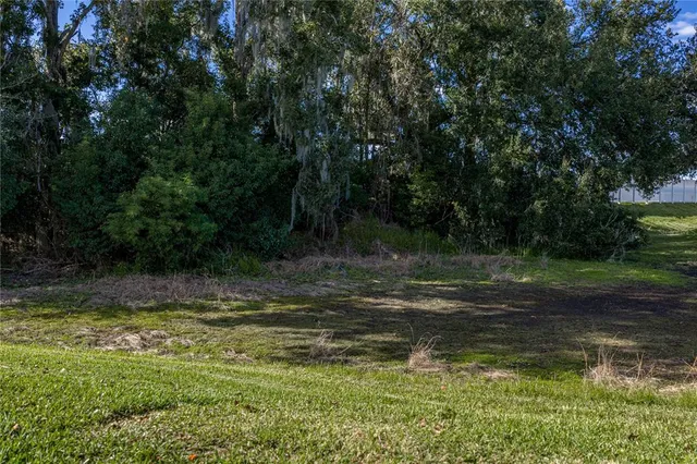 $2,000 | 29235 Princeville Drive, San Antonio, FL 33576