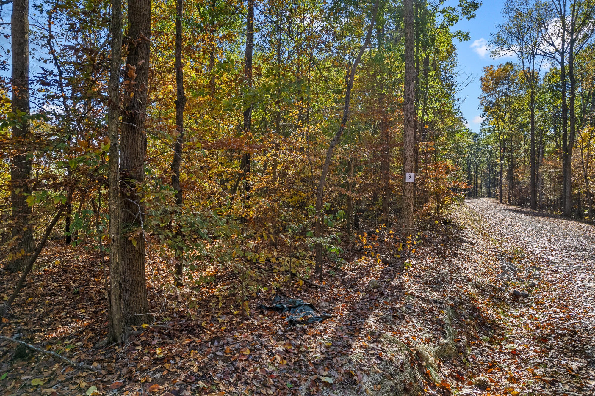 29 County Road Riceville, TN 37370 - Photo 11 of 29 Gallery Image 11